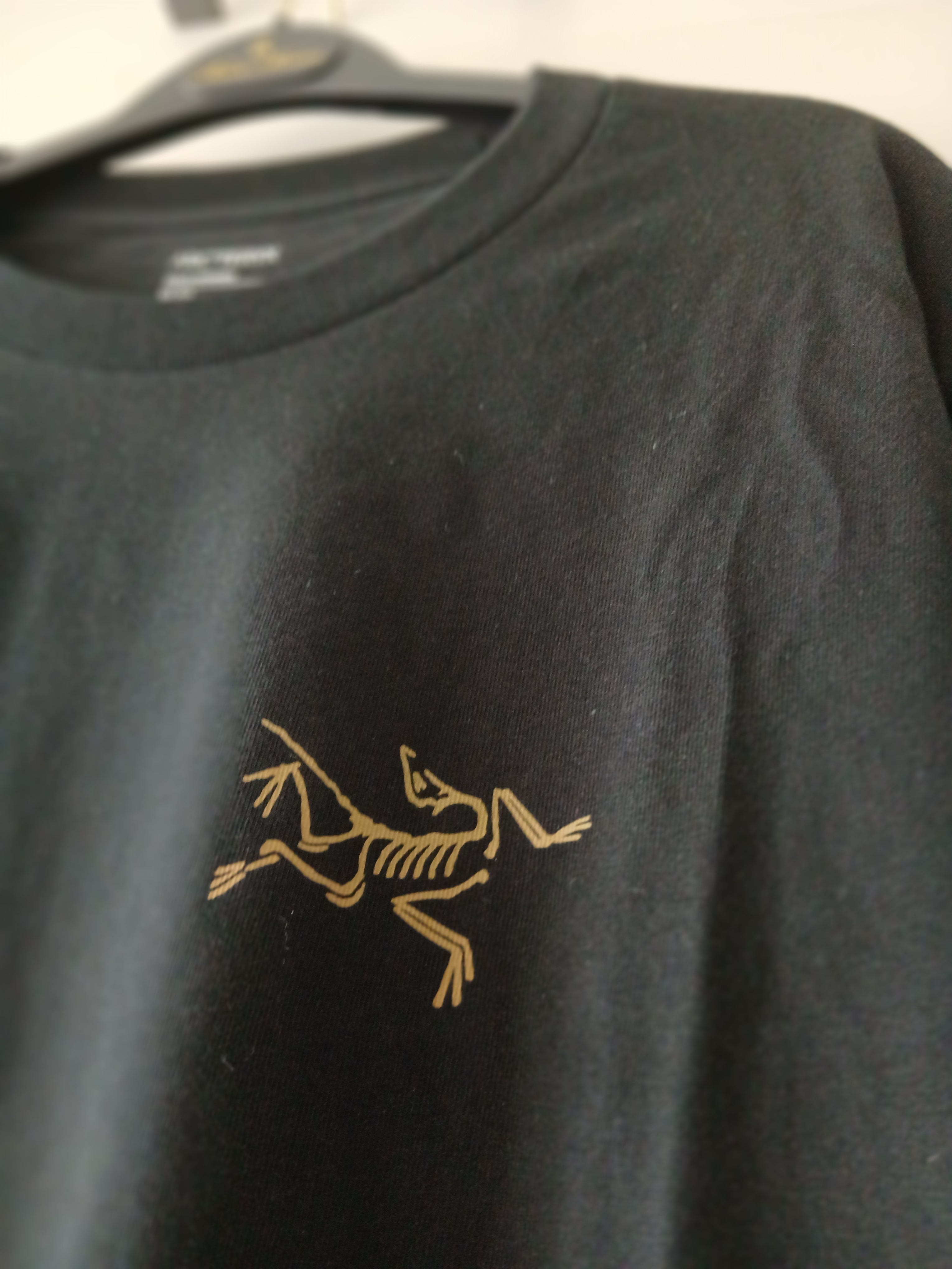 Arc'teryx Kragg Cotton LS T-Shirt 24K Black 착용 스타일 - 2
