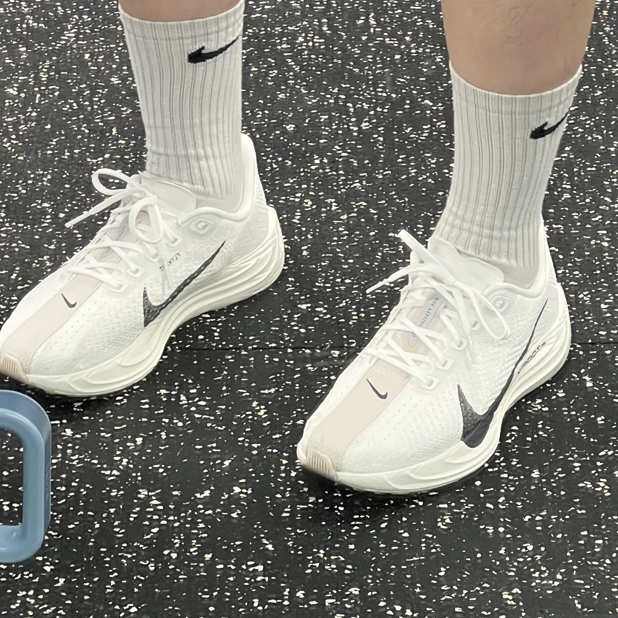 Nike Pegasus Plus  White Sail 착용 스타일