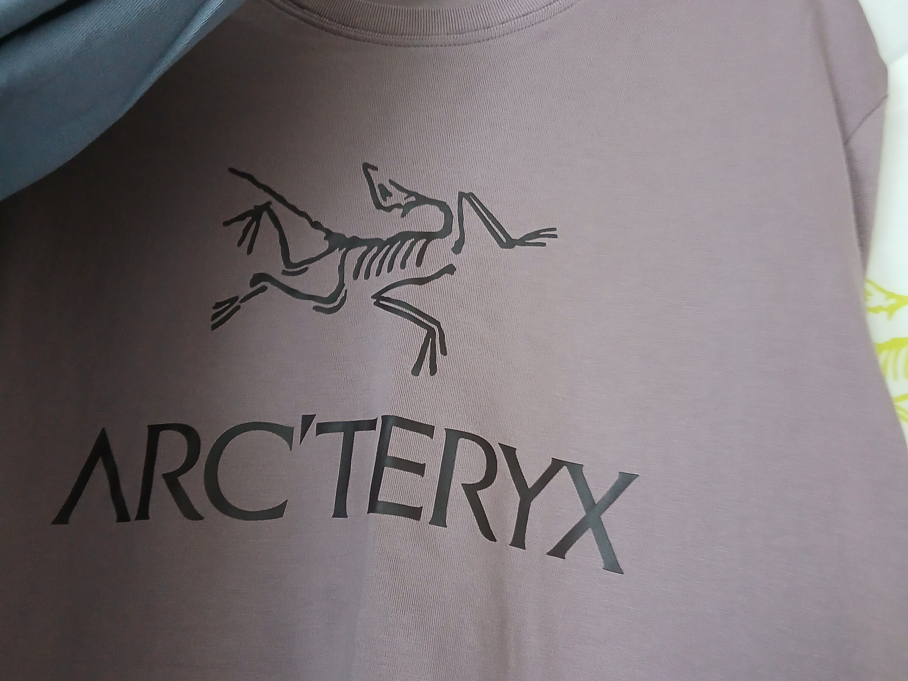 Arc'teryx Arc'word Logo SS T-Shirt Black II, Arc'teryx Arc'word Logo SS T-Shirt Black 착용 스타일 - 7