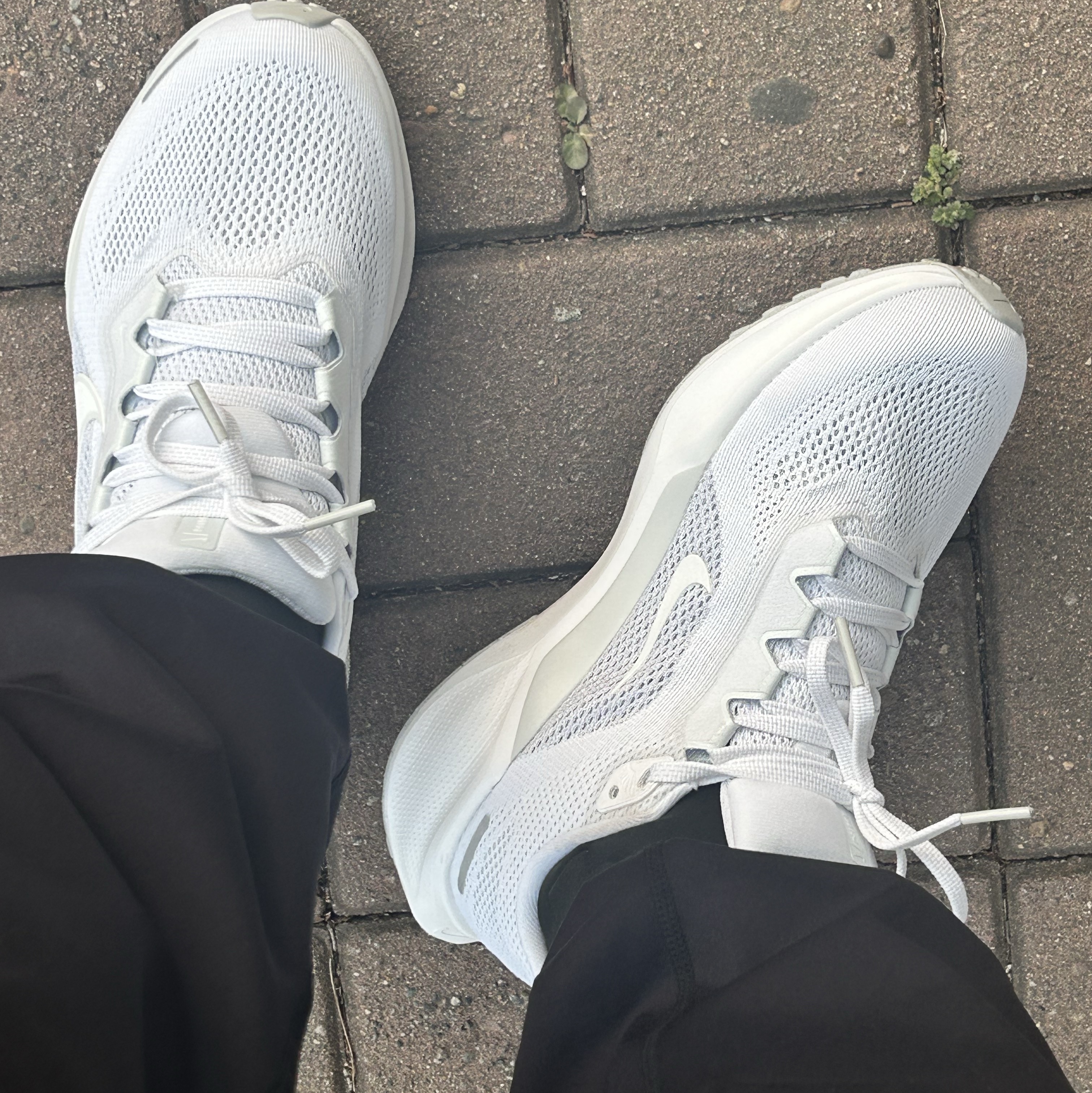 Nike Air Zoom Pegasus 41 White Pure Platinum 착용 스타일