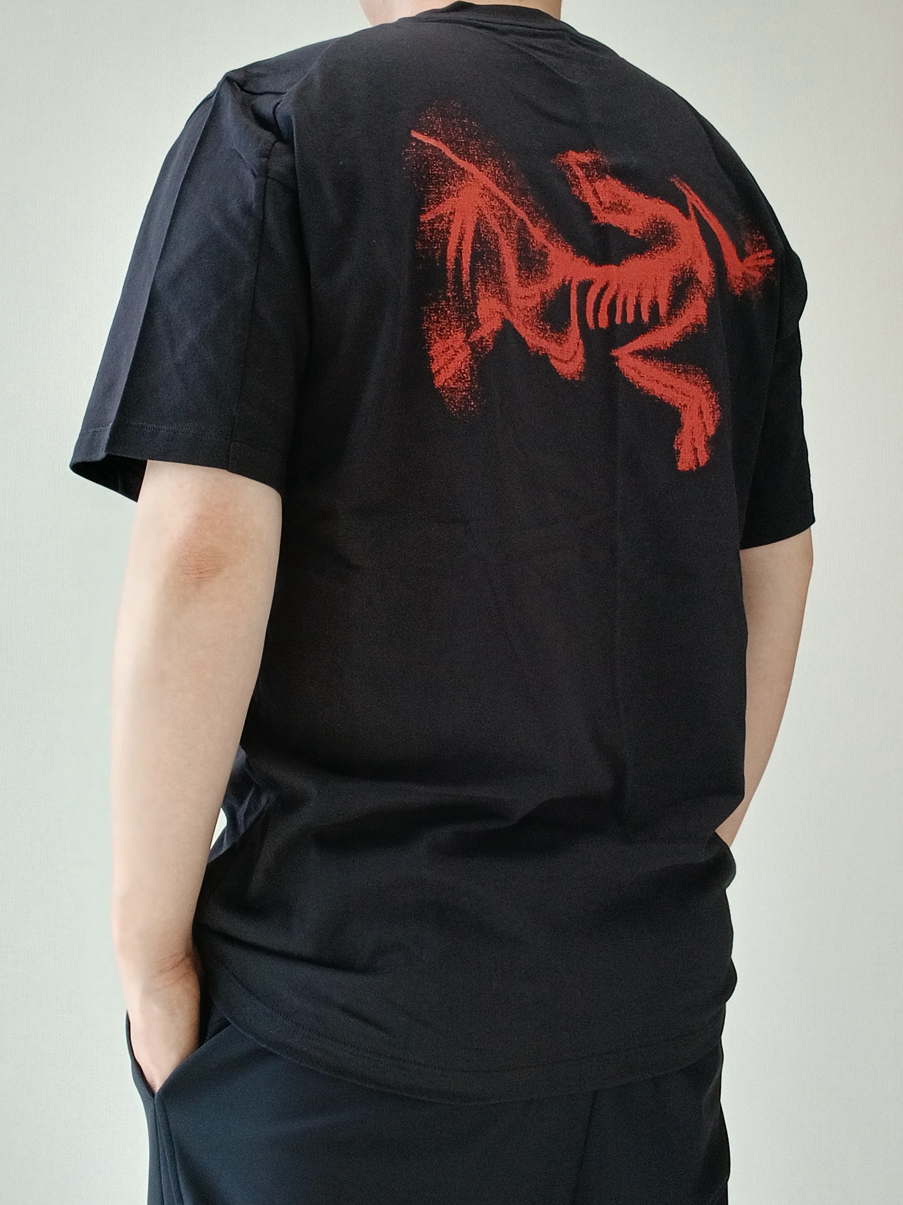 Arc'teryx Kragg SL Cotton Blurred Bird SS T-Shirt Black Dynasty, Arc'teryx Keyring Metal 착용 스타일 - 3