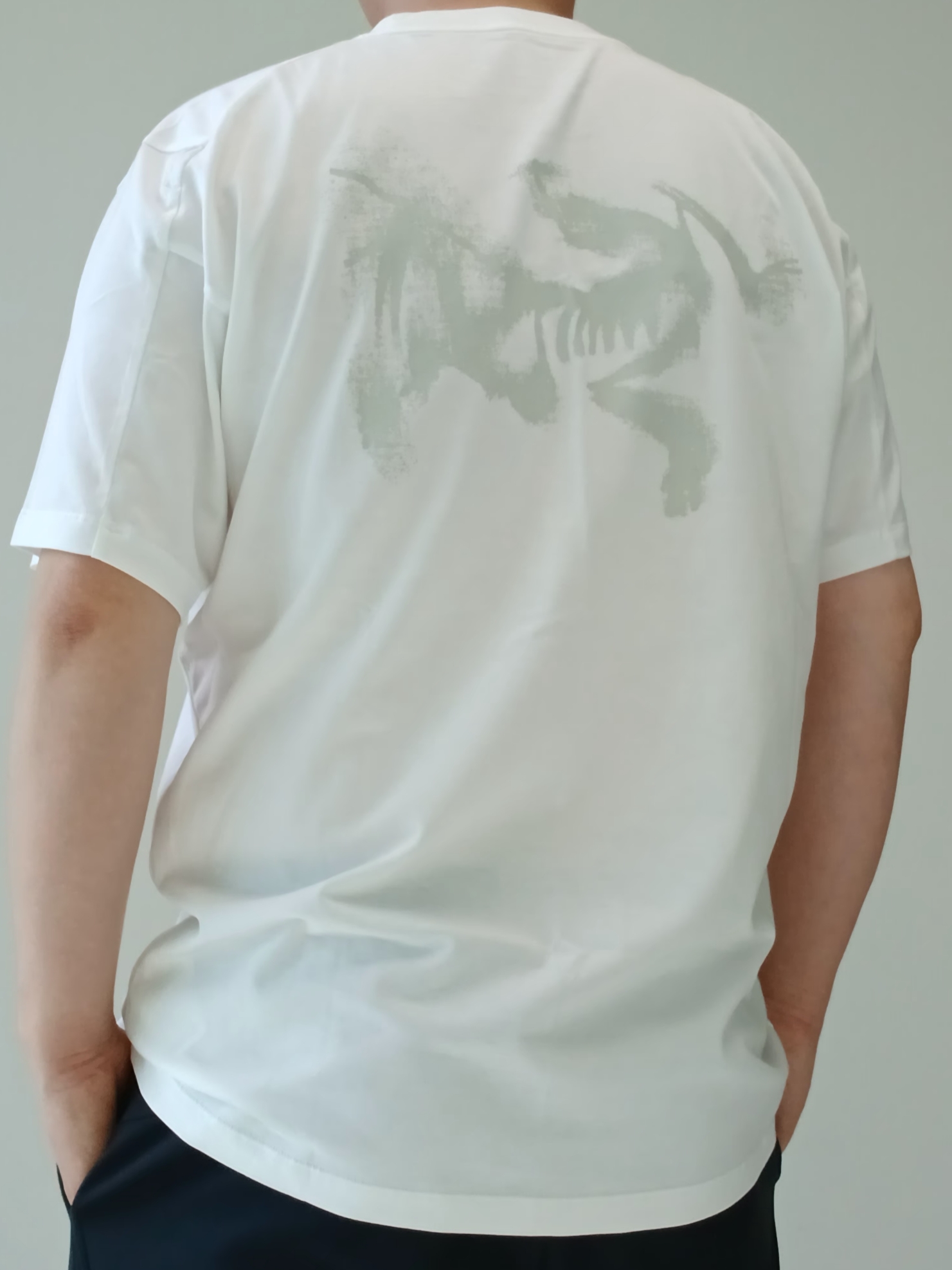 Arc'teryx Kragg SL Cotton Blurred Bird SS T-Shirt White Light Atmos, Arc'teryx Keyring Metal 착용 스타일 - 4