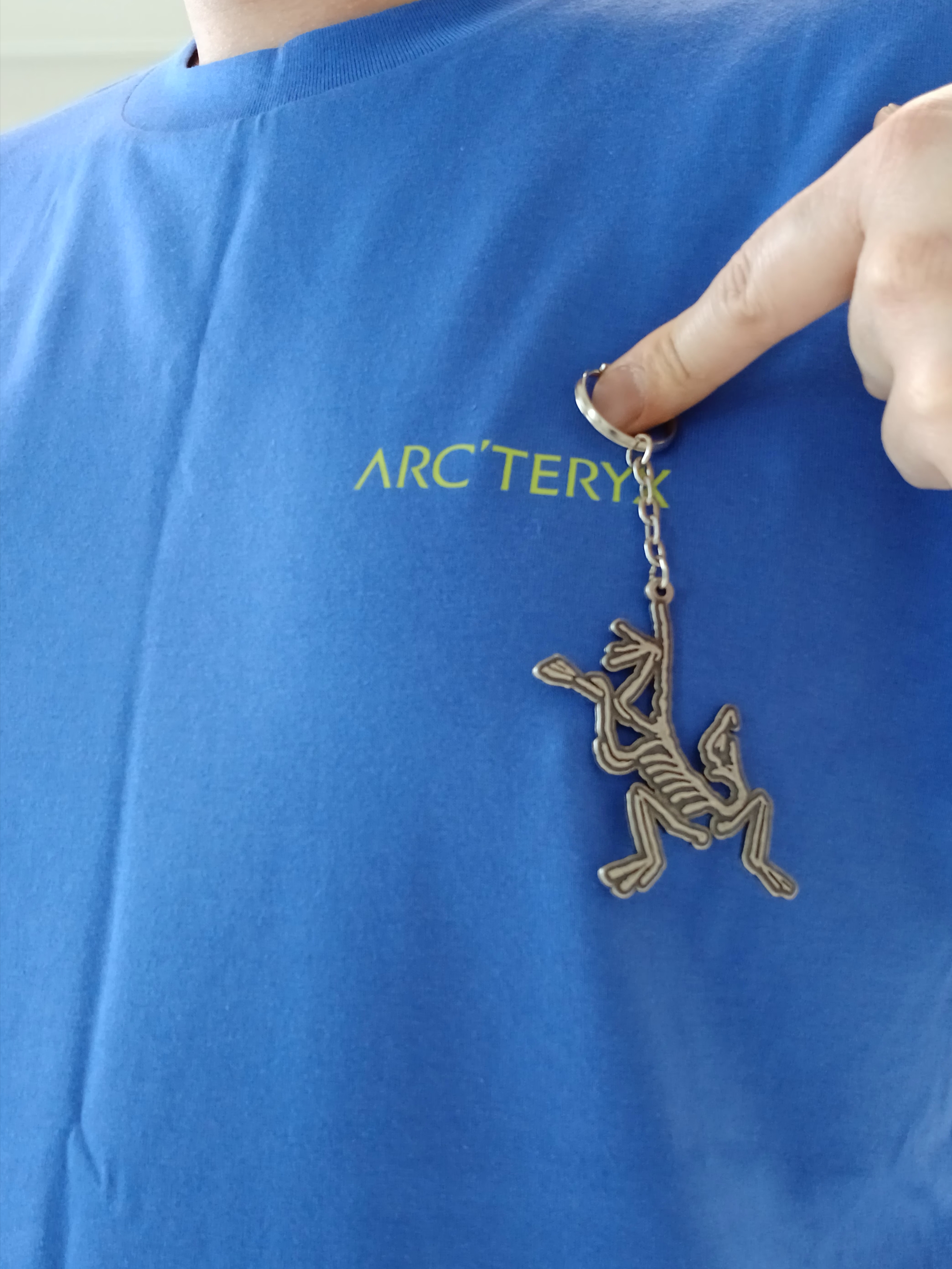 Arc'teryx Kragg SL Cotton Blurred Bird SS T-Shirt Electra Euphoria, Arc'teryx Keyring Metal 착용 스타일 - 2