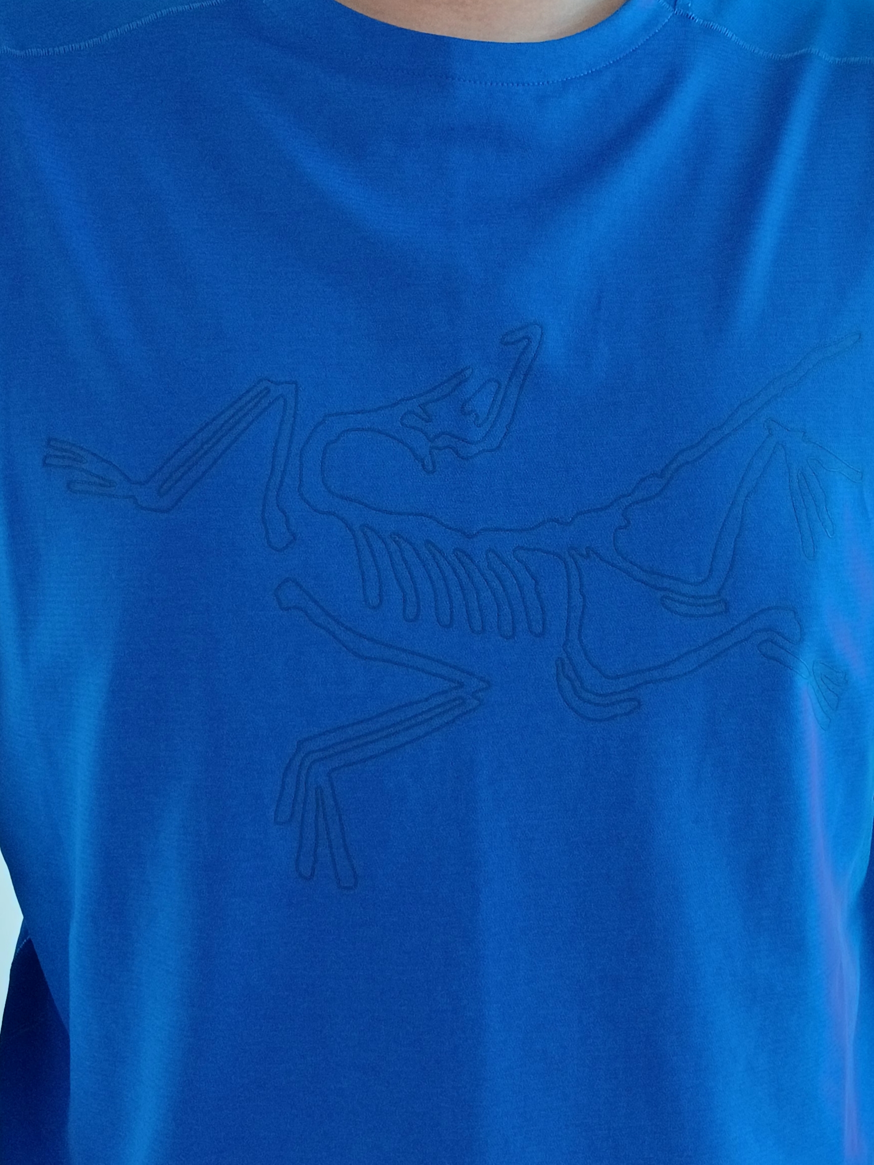 Arc'teryx Keyring Metal, Arc'teryx Cormac Crew Neck LS T-Shirt Electra Heather 착용 스타일 - 3