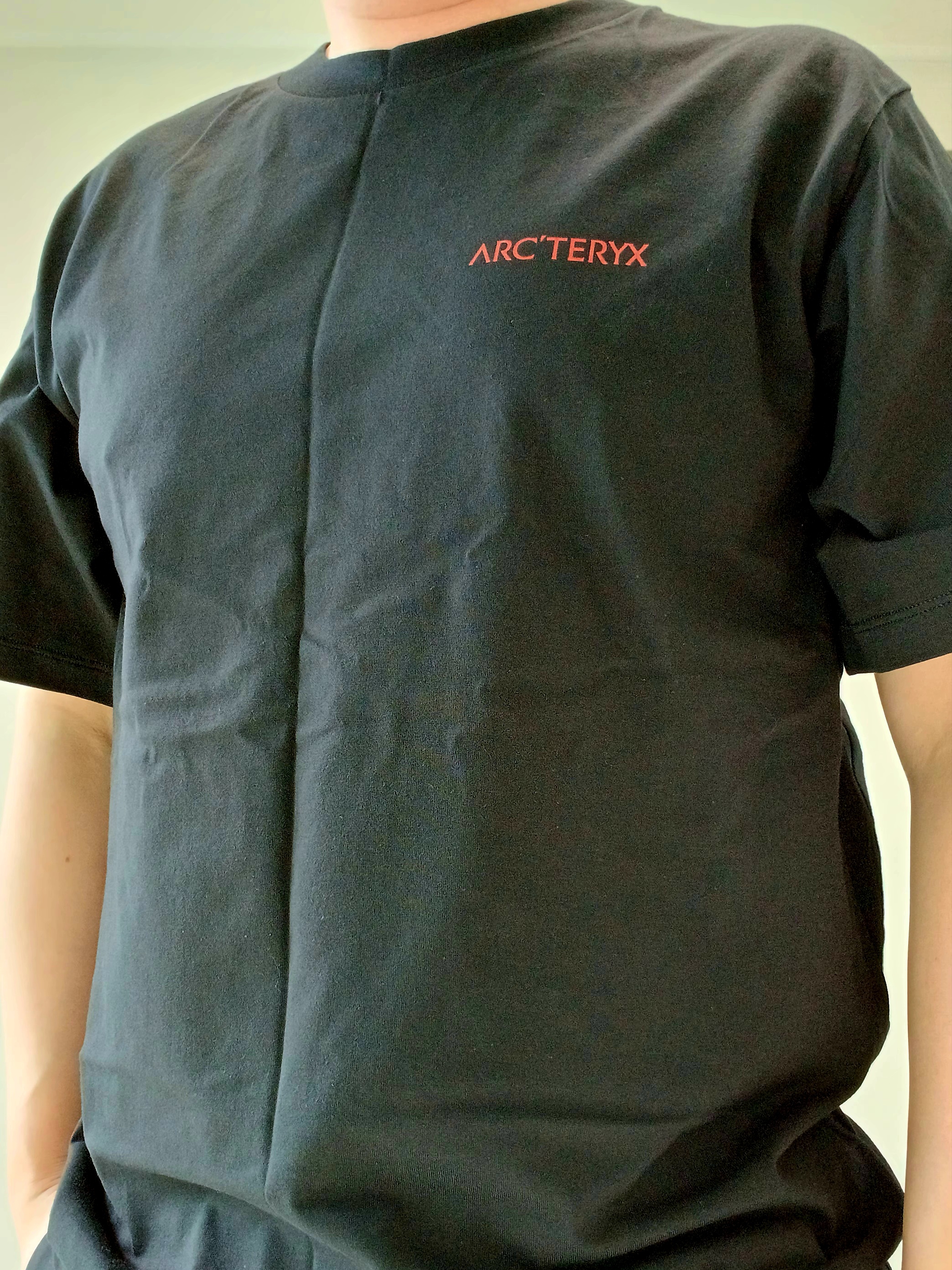 Arc'teryx Kragg SL Cotton Blurred Bird SS T-Shirt Black Dynasty, Arc'teryx Keyring Metal 착용 스타일 - 8