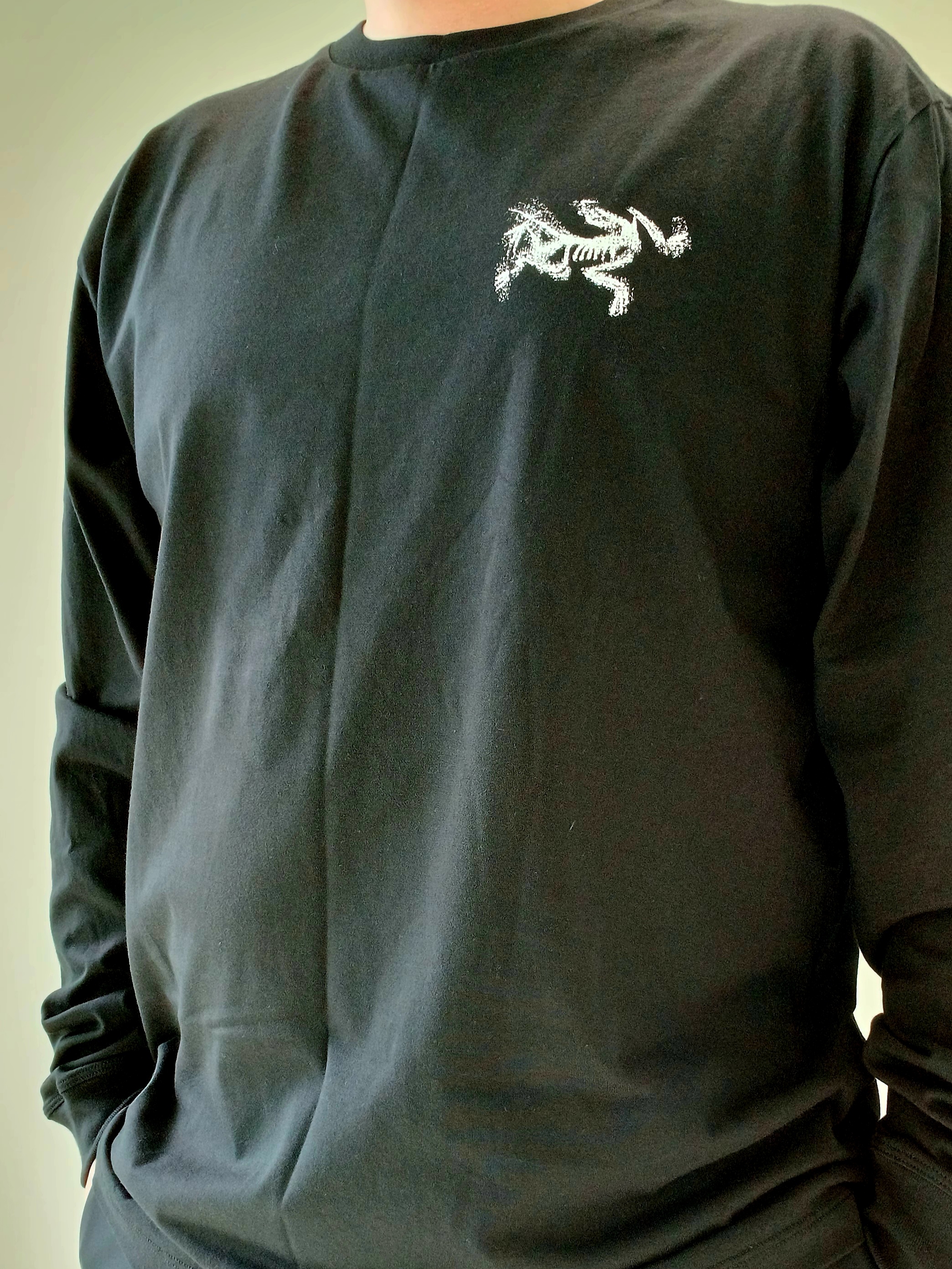Arc'teryx Kragg SL Cotton Bird Tile LS Shirt Black Arctic Silk, Arc'teryx Keyring Metal 착용 스타일 - 3