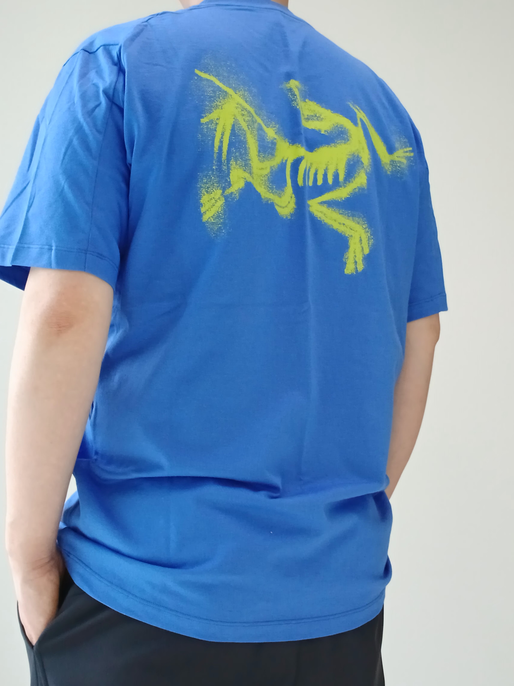 Arc'teryx Kragg SL Cotton Blurred Bird SS T-Shirt Electra Euphoria, Arc'teryx Keyring Metal 착용 스타일 - 3