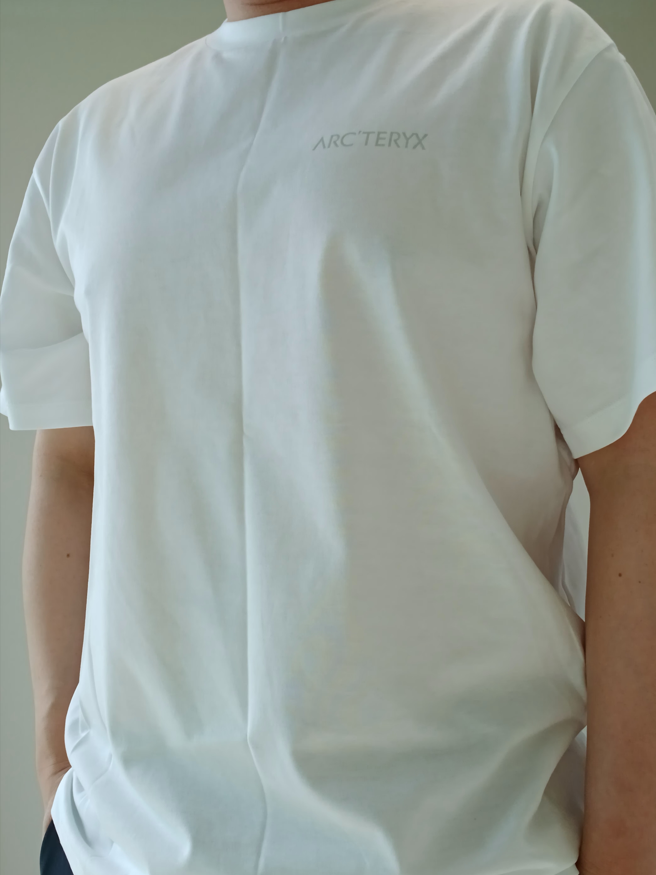 Arc'teryx Kragg SL Cotton Blurred Bird SS T-Shirt White Light Atmos, Arc'teryx Keyring Metal 착용 스타일 - 3