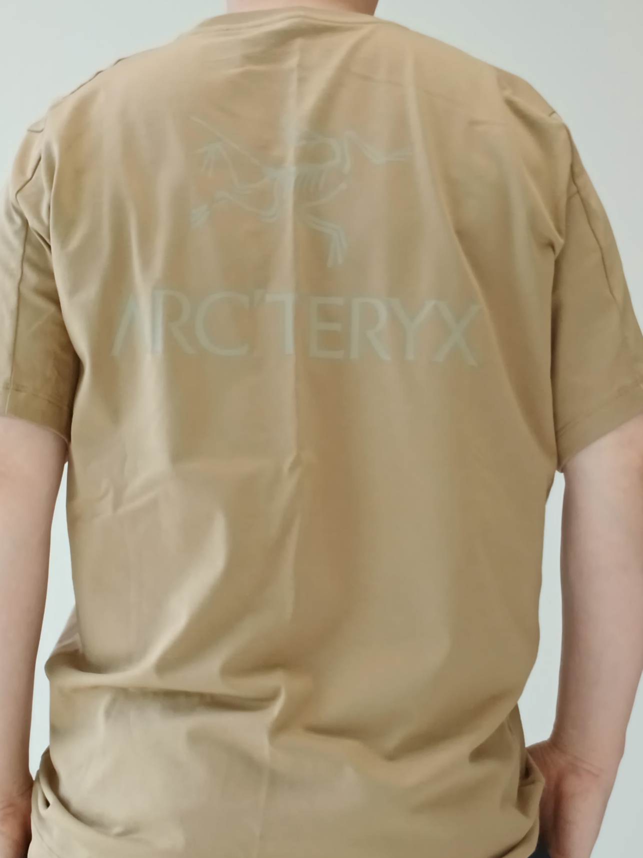 Arc'teryx Kragg SL Cotton Bird Word SS T-Shirt Canvas 착용 스타일 - 1