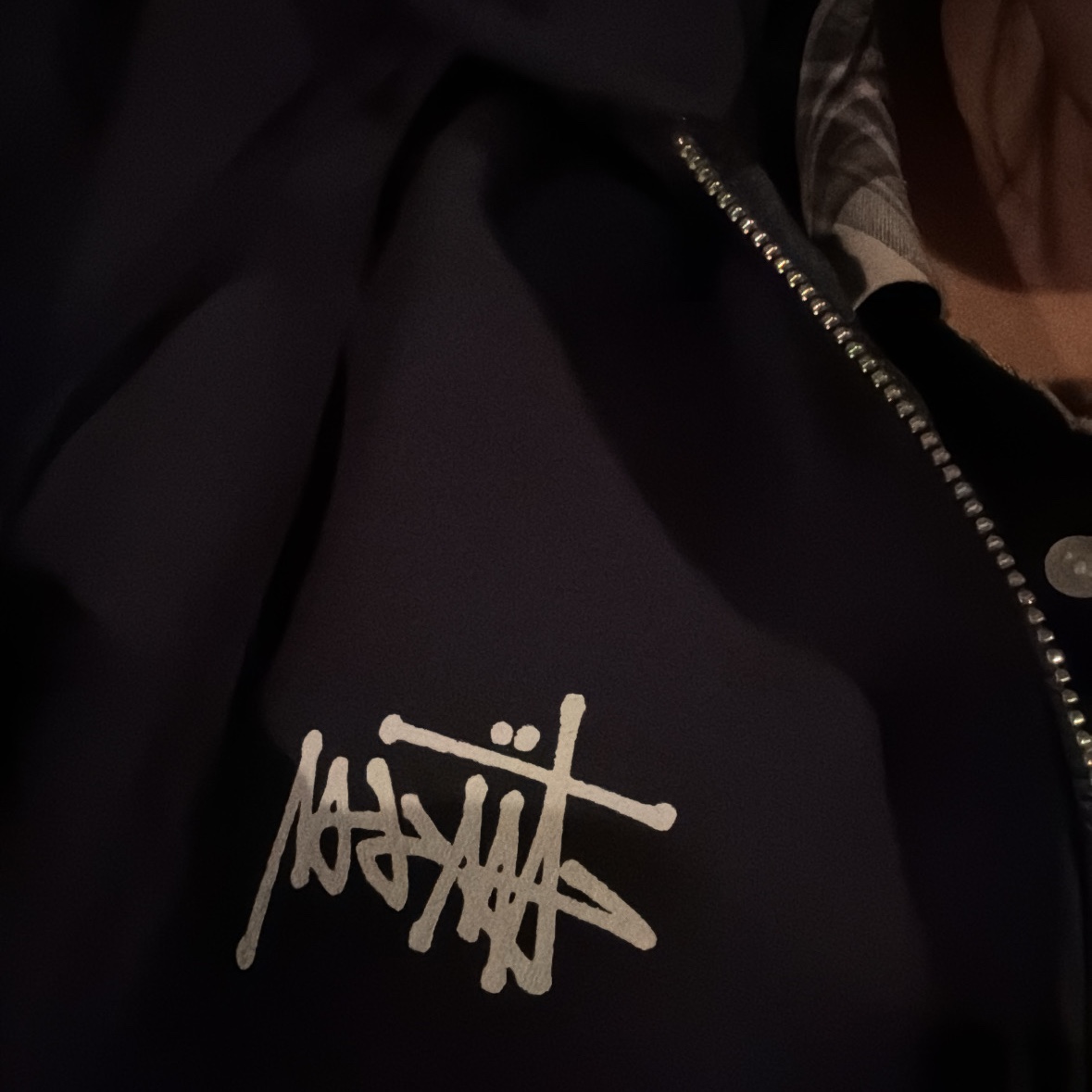 Stussy Basic Stussy Zip Hoodie Navy 2024, 2025 착용 스타일
