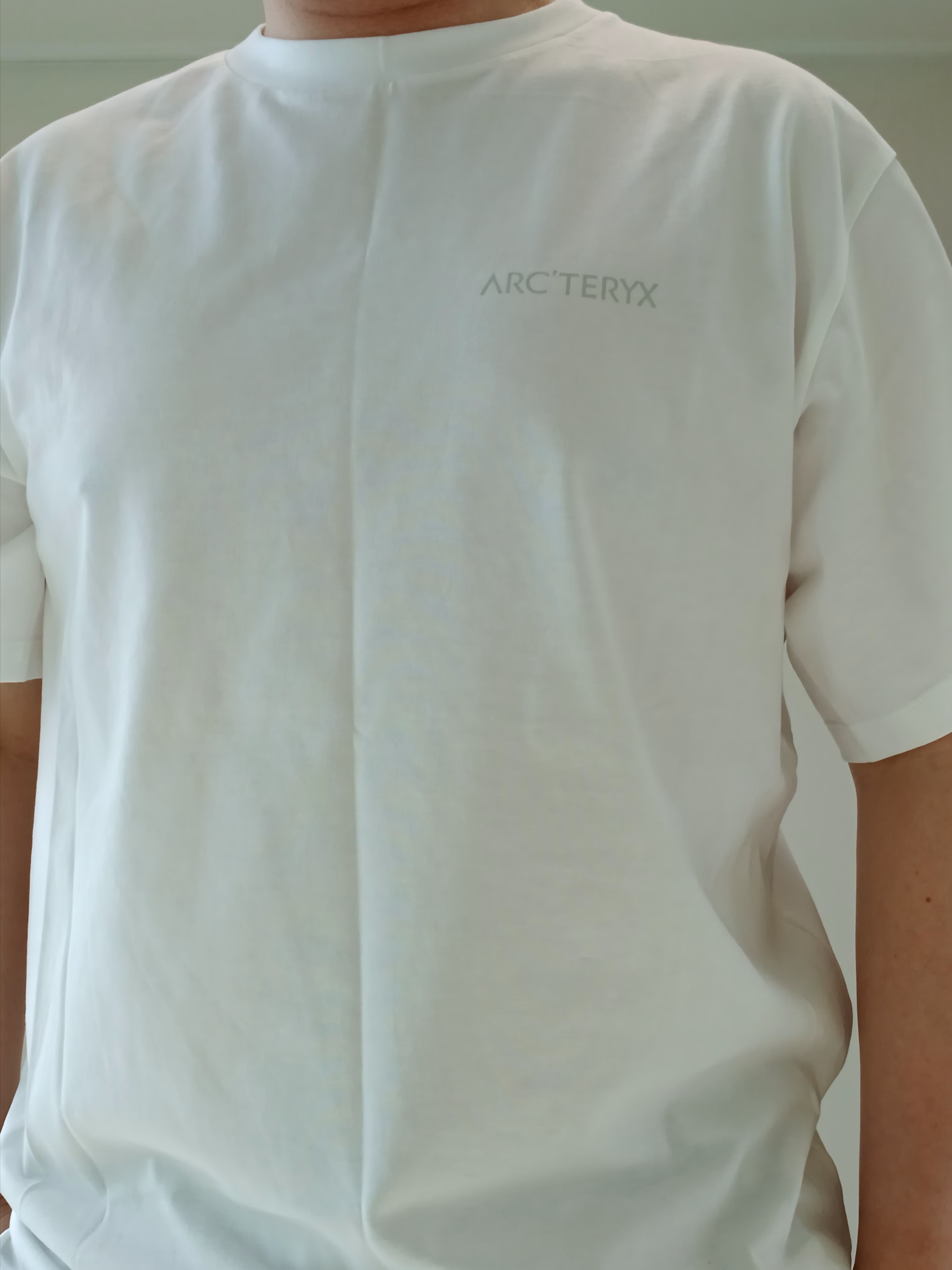 Arc'teryx Kragg SL Cotton Blurred Bird SS T-Shirt White Light Atmos, Arc'teryx Keyring Metal 착용 스타일 - 5