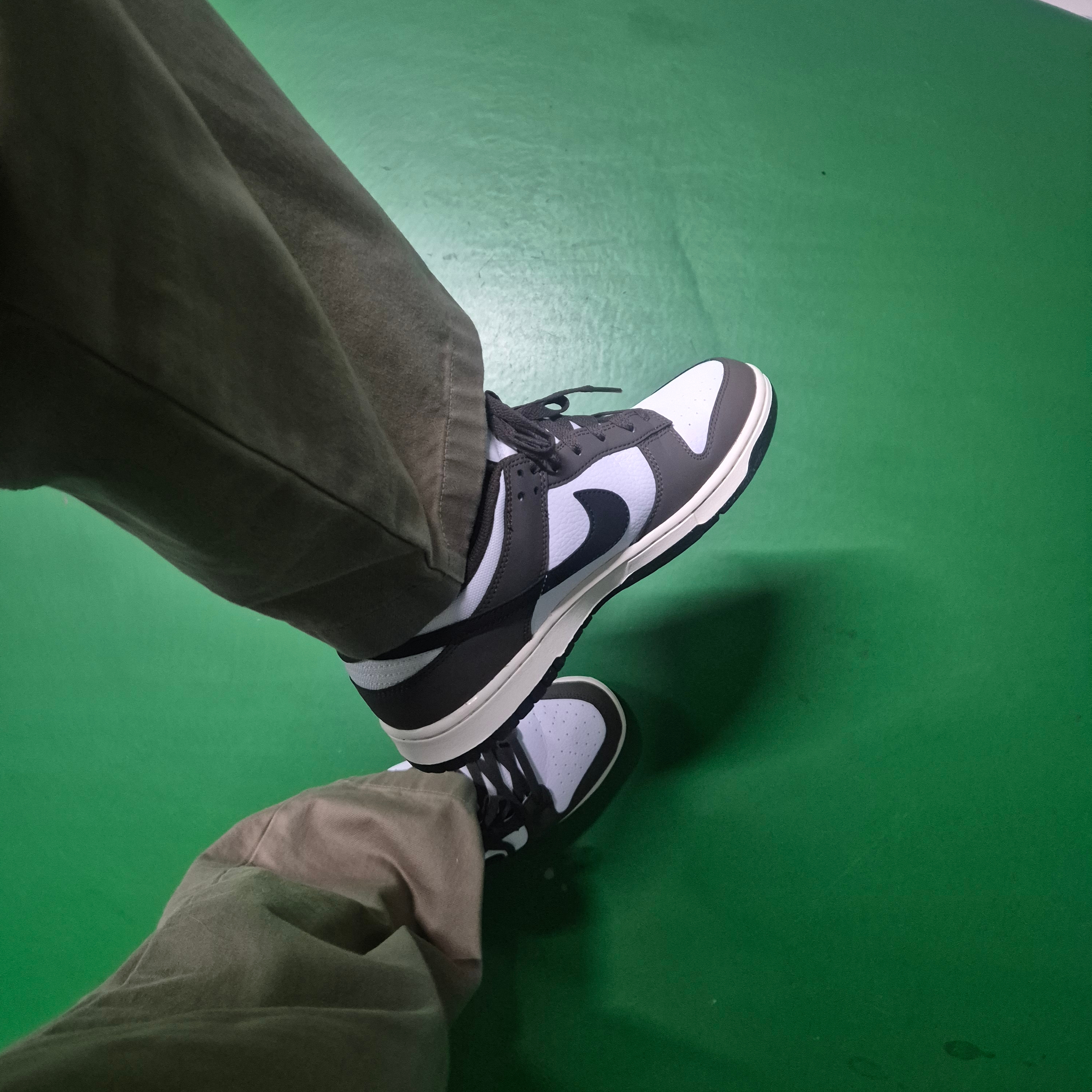 Nike Dunk Low Retro Next Nature Baroque Brown White 착용 스타일