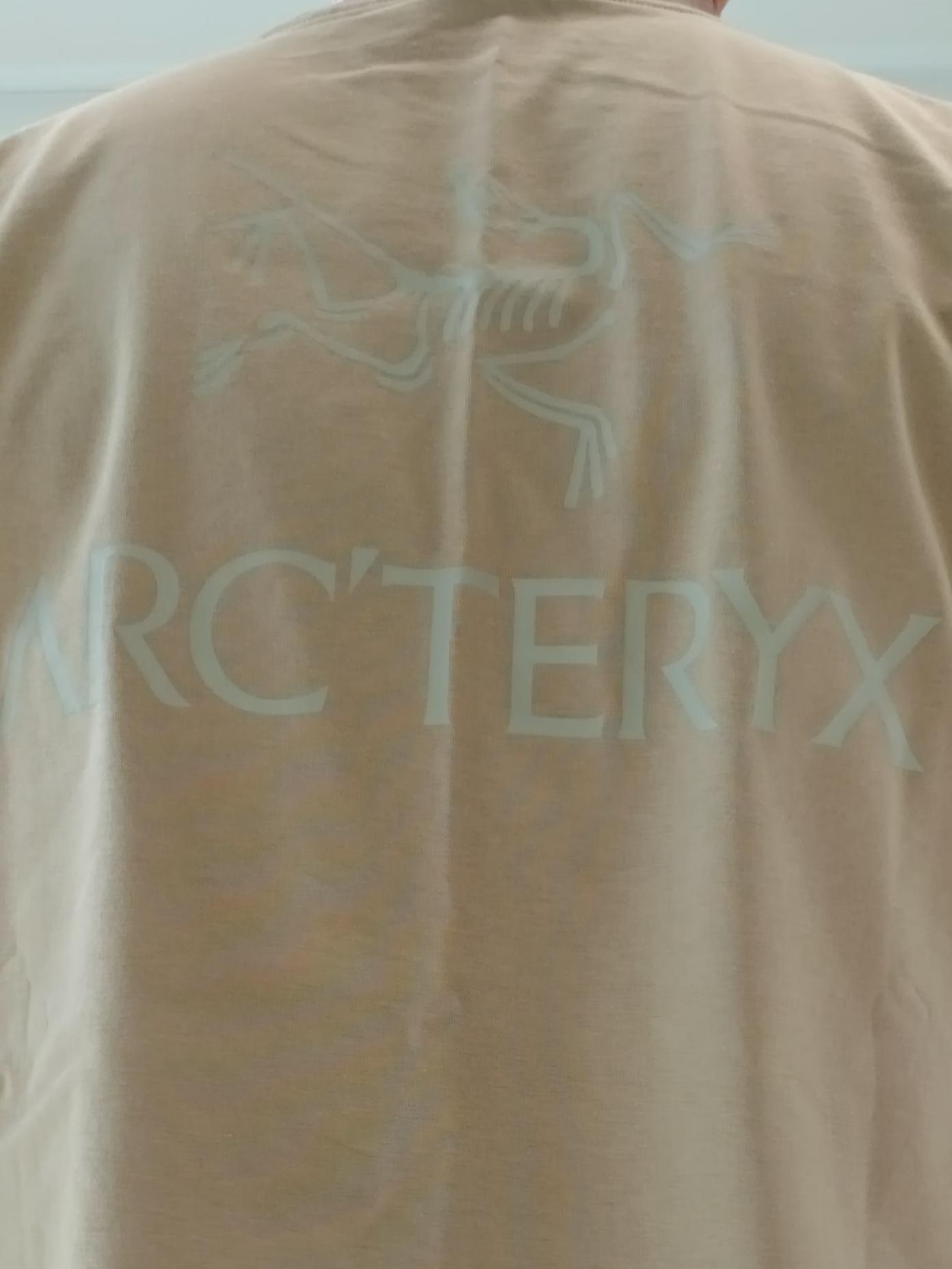 Arc'teryx Kragg SL Cotton Bird Word SS T-Shirt Canvas 착용 스타일 - 5