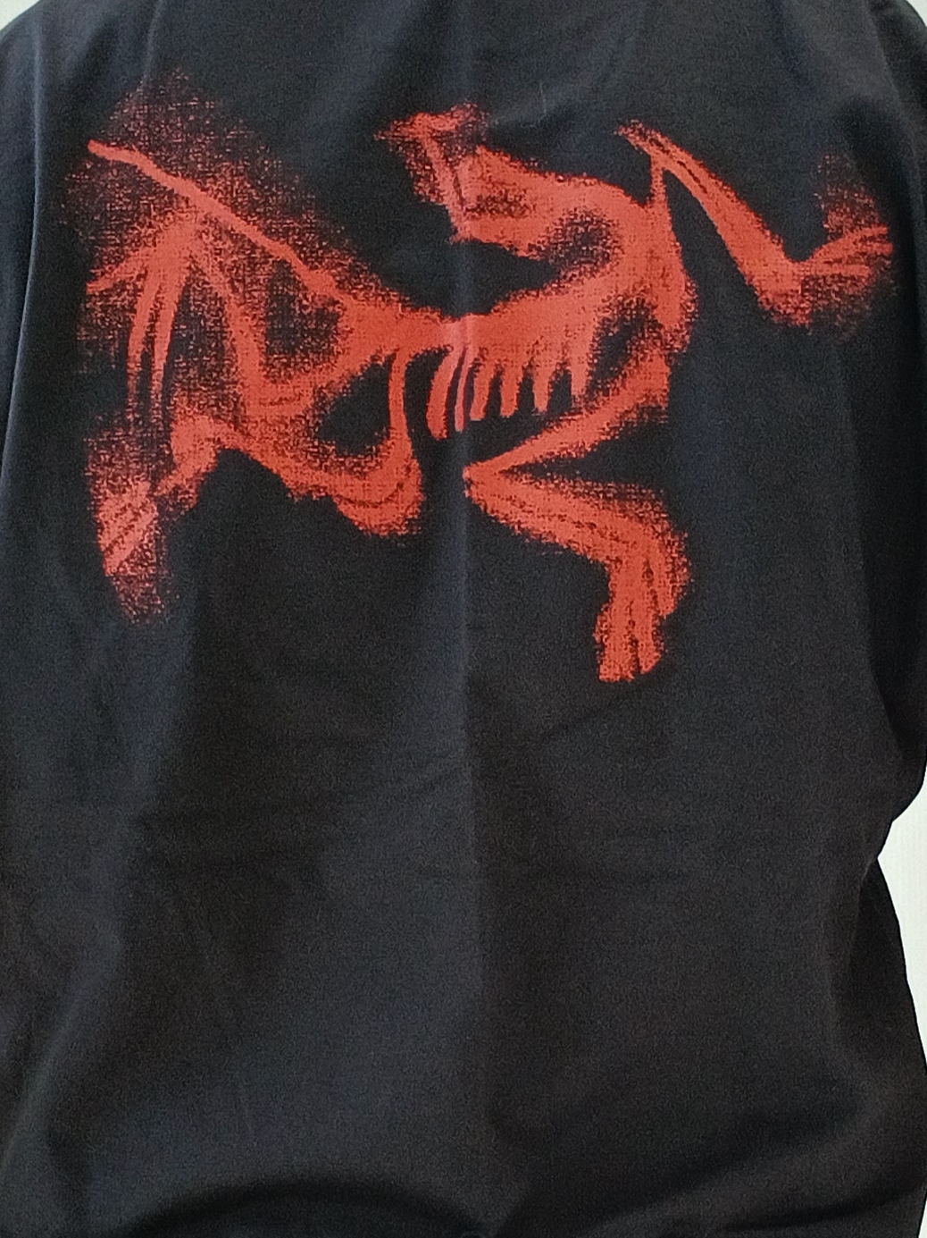 Arc'teryx Kragg SL Cotton Blurred Bird SS T-Shirt Black Dynasty, Arc'teryx Keyring Metal 착용 스타일 - 7