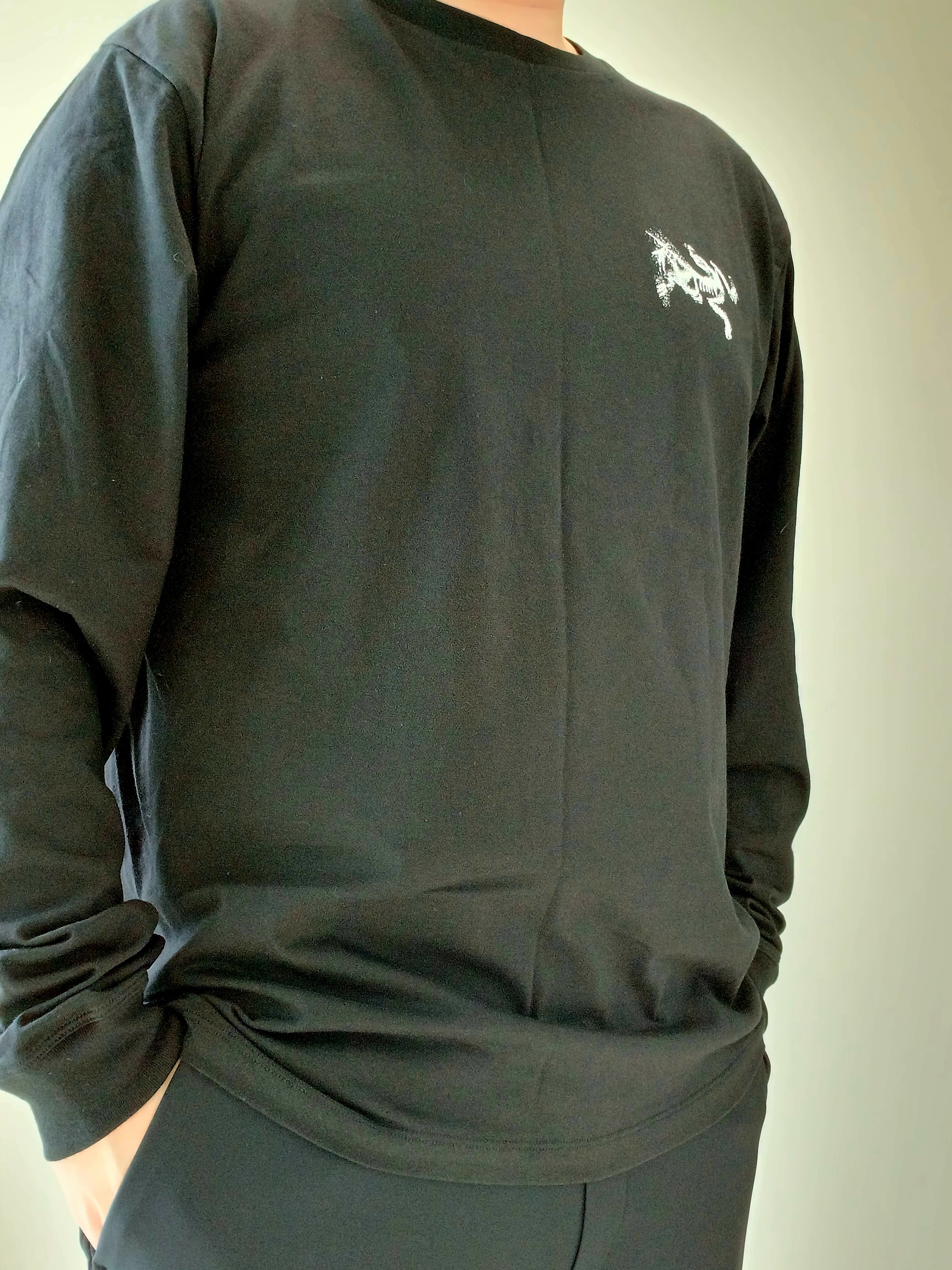 Arc'teryx Kragg SL Cotton Bird Tile LS Shirt Black Arctic Silk, Arc'teryx Keyring Metal 착용 스타일 - 5