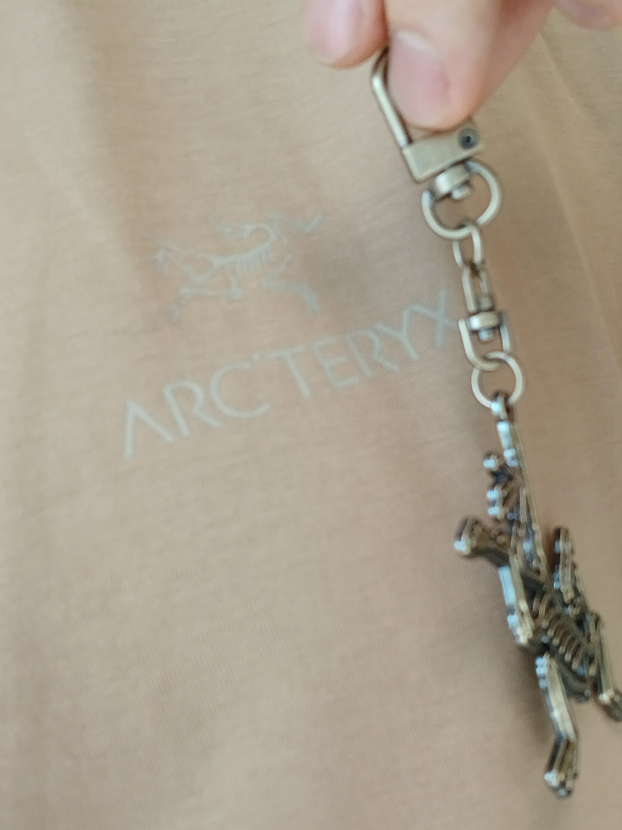 Arc'teryx Kragg SL Cotton Bird Word SS T-Shirt Canvas 착용 스타일 - 2