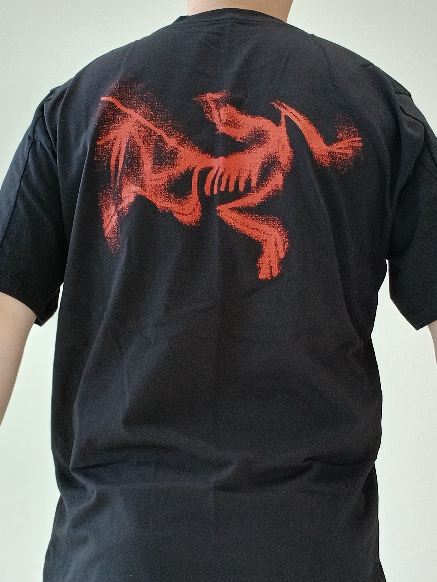 Arc'teryx Kragg SL Cotton Blurred Bird SS T-Shirt Black Dynasty, Arc'teryx Keyring Metal 착용 스타일 - 1