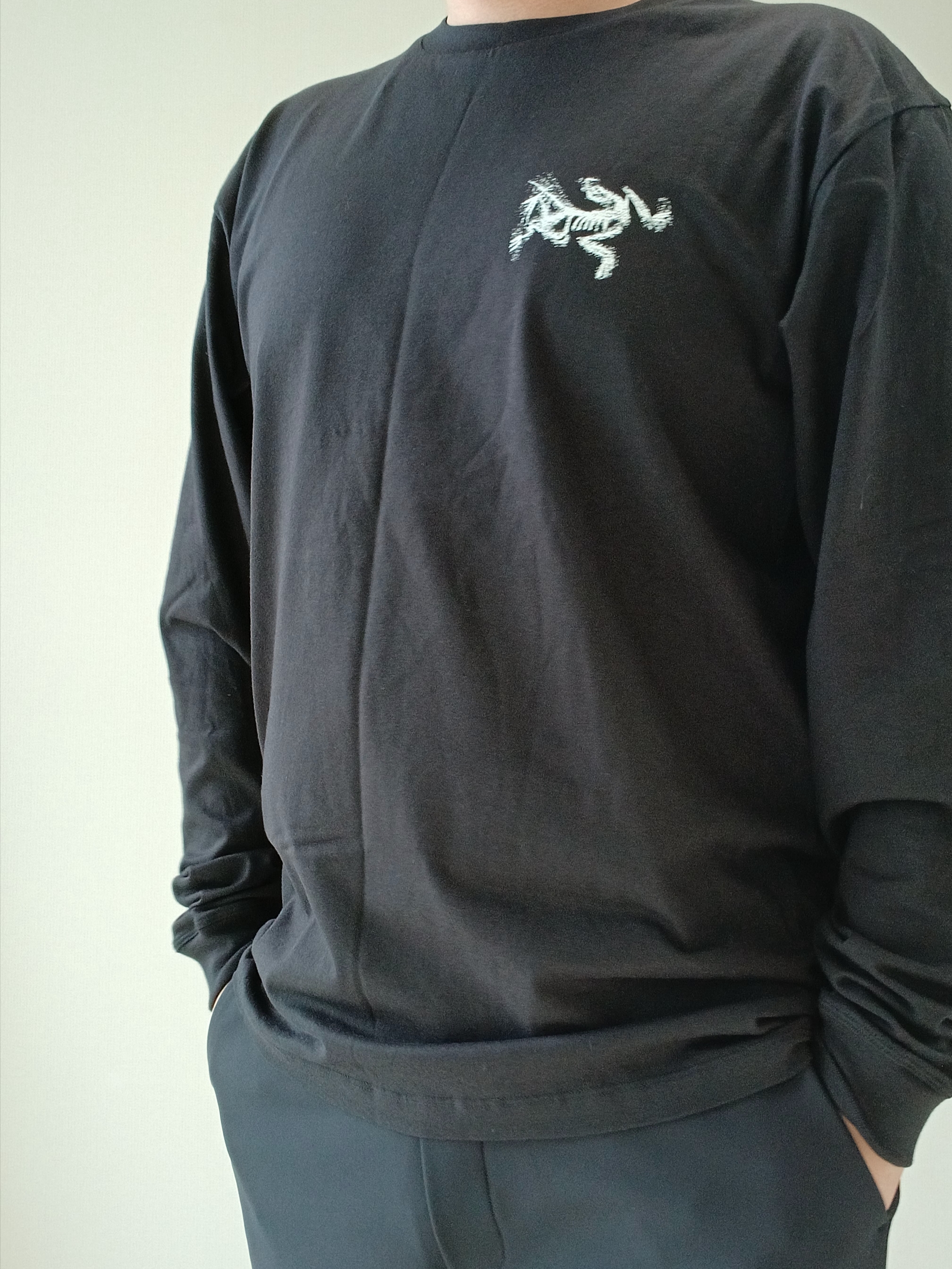 Arc'teryx Kragg SL Cotton Bird Tile LS Shirt Black Arctic Silk, Arc'teryx Keyring Metal 착용 스타일 - 8