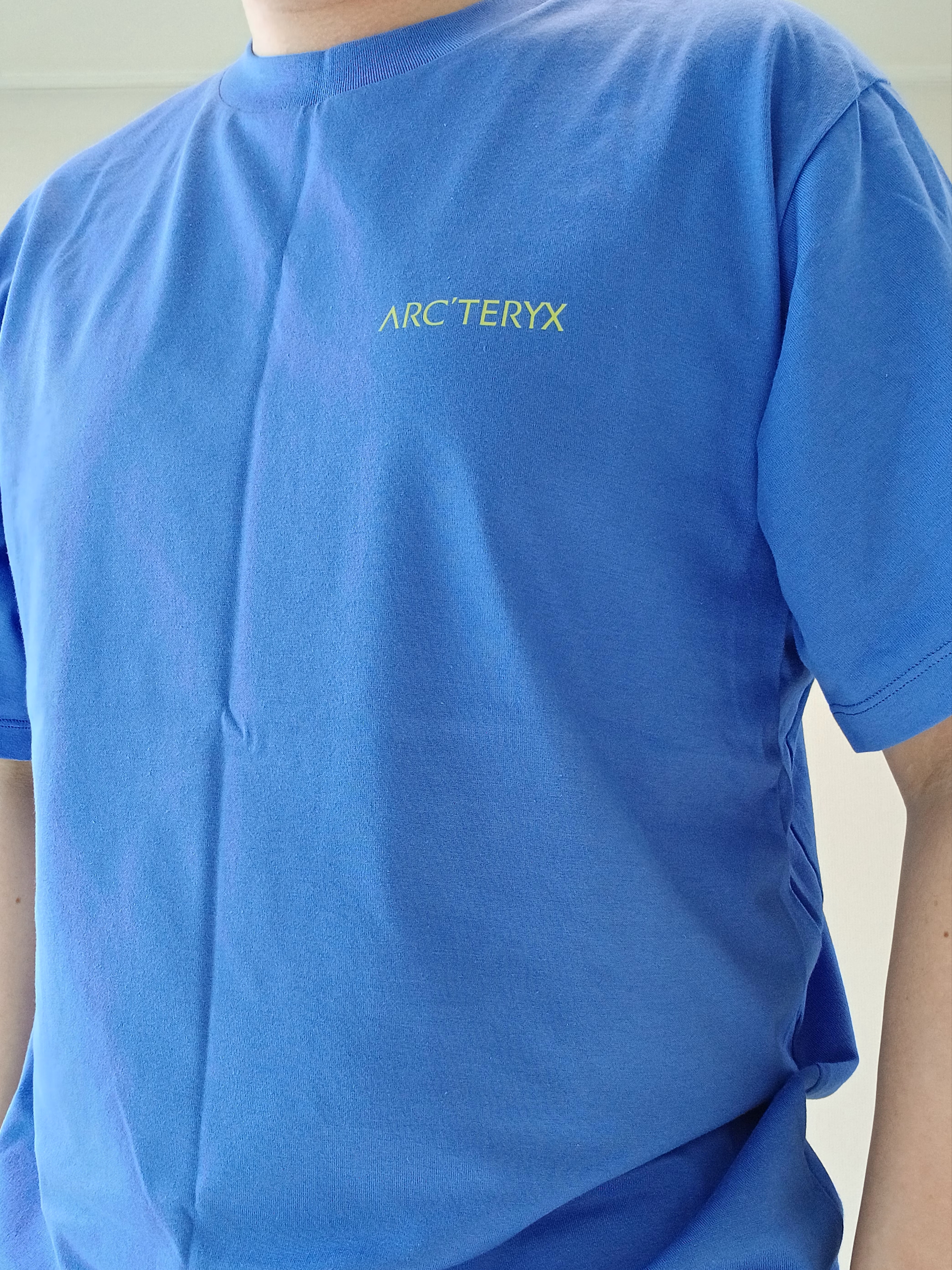 Arc'teryx Kragg SL Cotton Blurred Bird SS T-Shirt Electra Euphoria, Arc'teryx Keyring Metal 착용 스타일 - 4