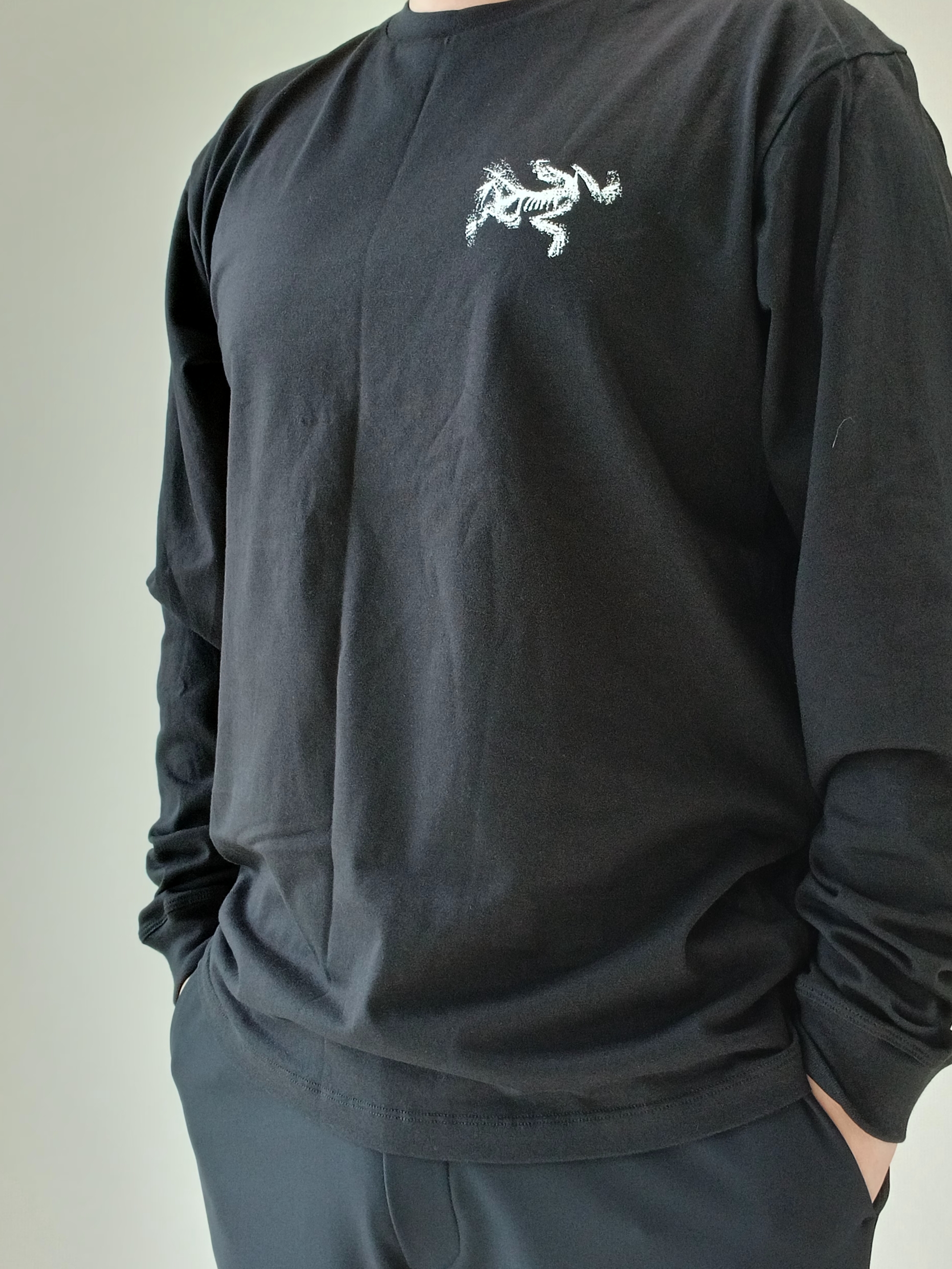 Arc'teryx Kragg SL Cotton Bird Tile LS Shirt Black Arctic Silk, Arc'teryx Keyring Metal 착용 스타일 - 9