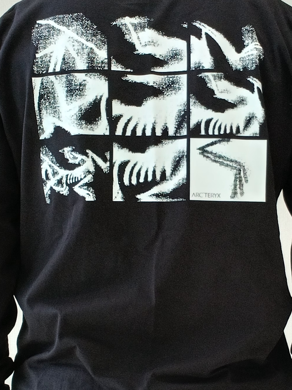 Arc'teryx Kragg SL Cotton Bird Tile LS Shirt Black Arctic Silk, Arc'teryx Keyring Metal 착용 스타일 - 10