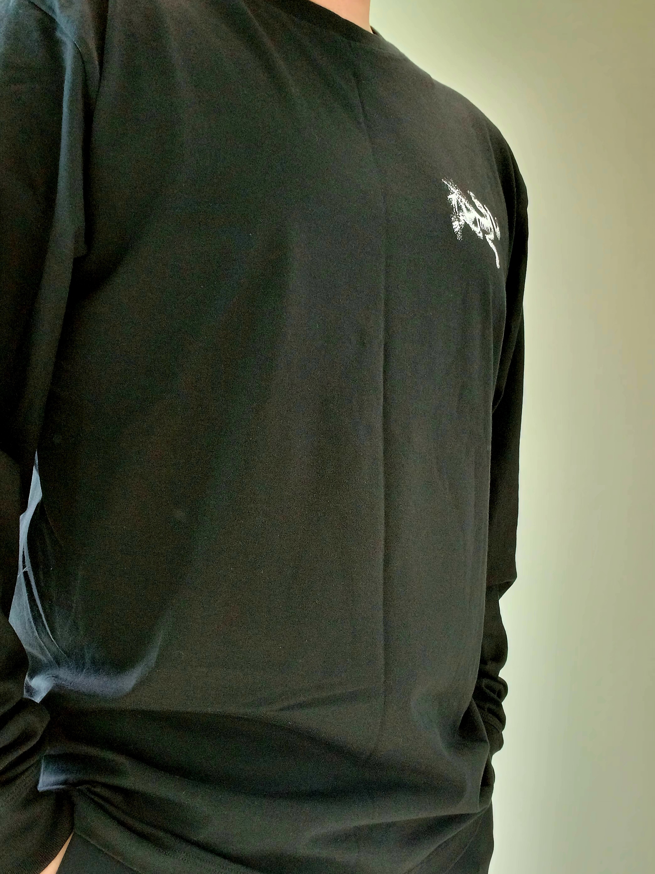 Arc'teryx Kragg SL Cotton Bird Tile LS Shirt Black Arctic Silk, Arc'teryx Keyring Metal 착용 스타일 - 4