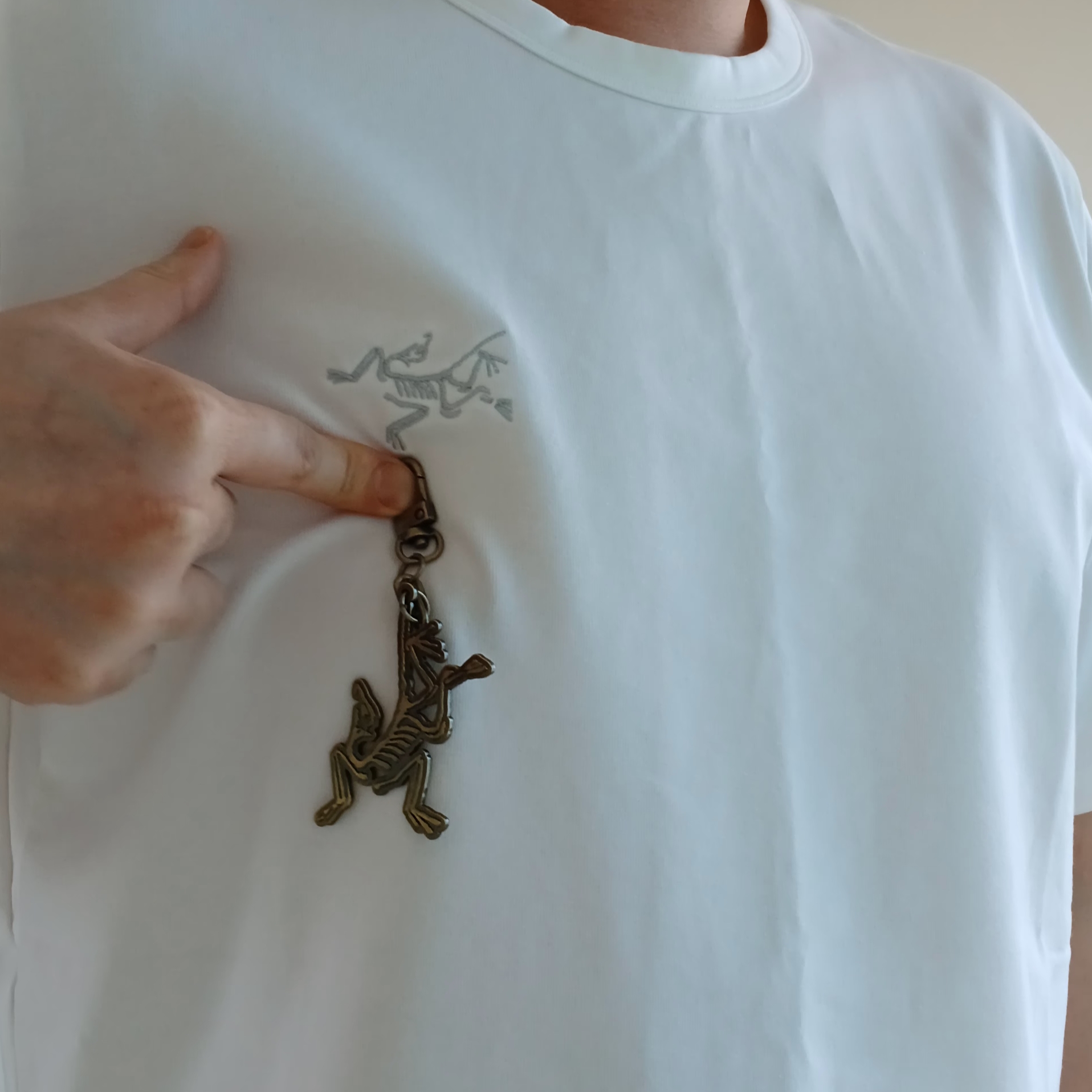 Arc'teryx Captive Arc'word SS T-Shirt White Light, Arc'teryx Captive Arc'Word SS T-Shirt White Light 착용 스타일 - 1