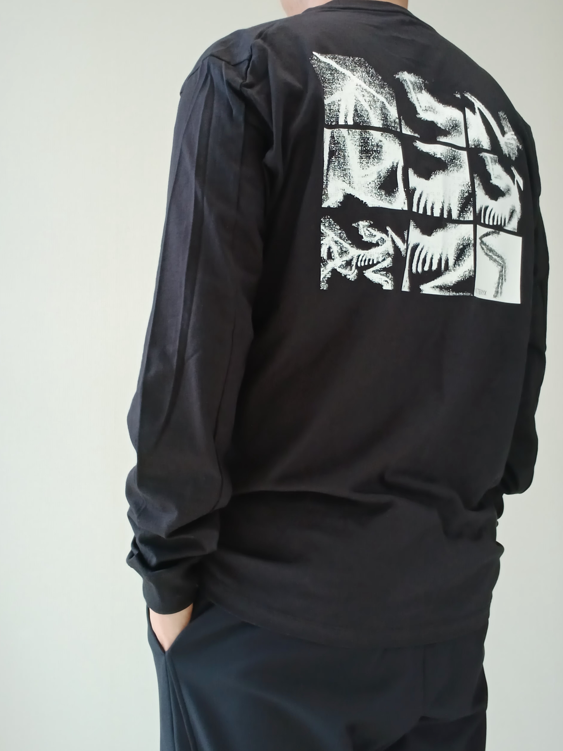 Arc'teryx Kragg SL Cotton Bird Tile LS Shirt Black Arctic Silk, Arc'teryx Keyring Metal 착용 스타일 - 6