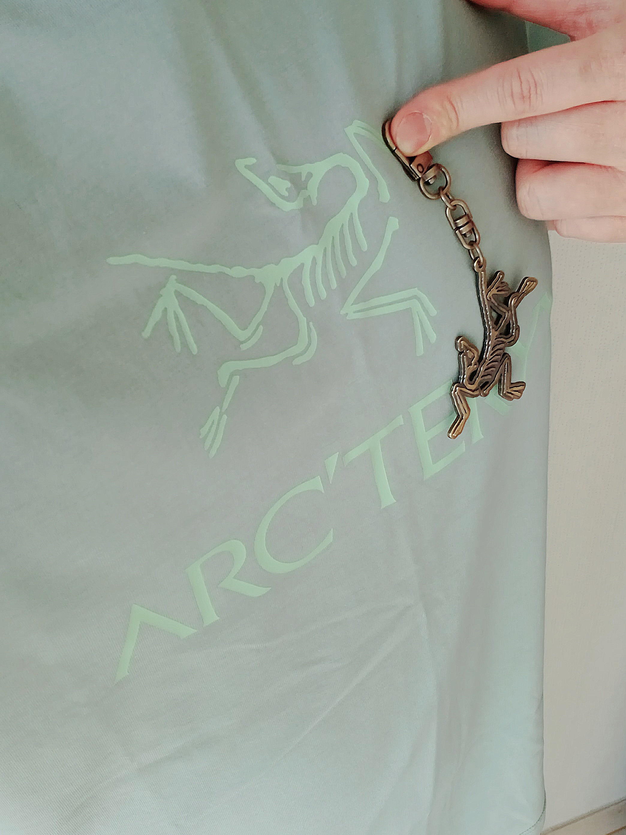 Arc'teryx Motus Arcword Crew SS T-Shirt Stone Green Heather 착용 스타일