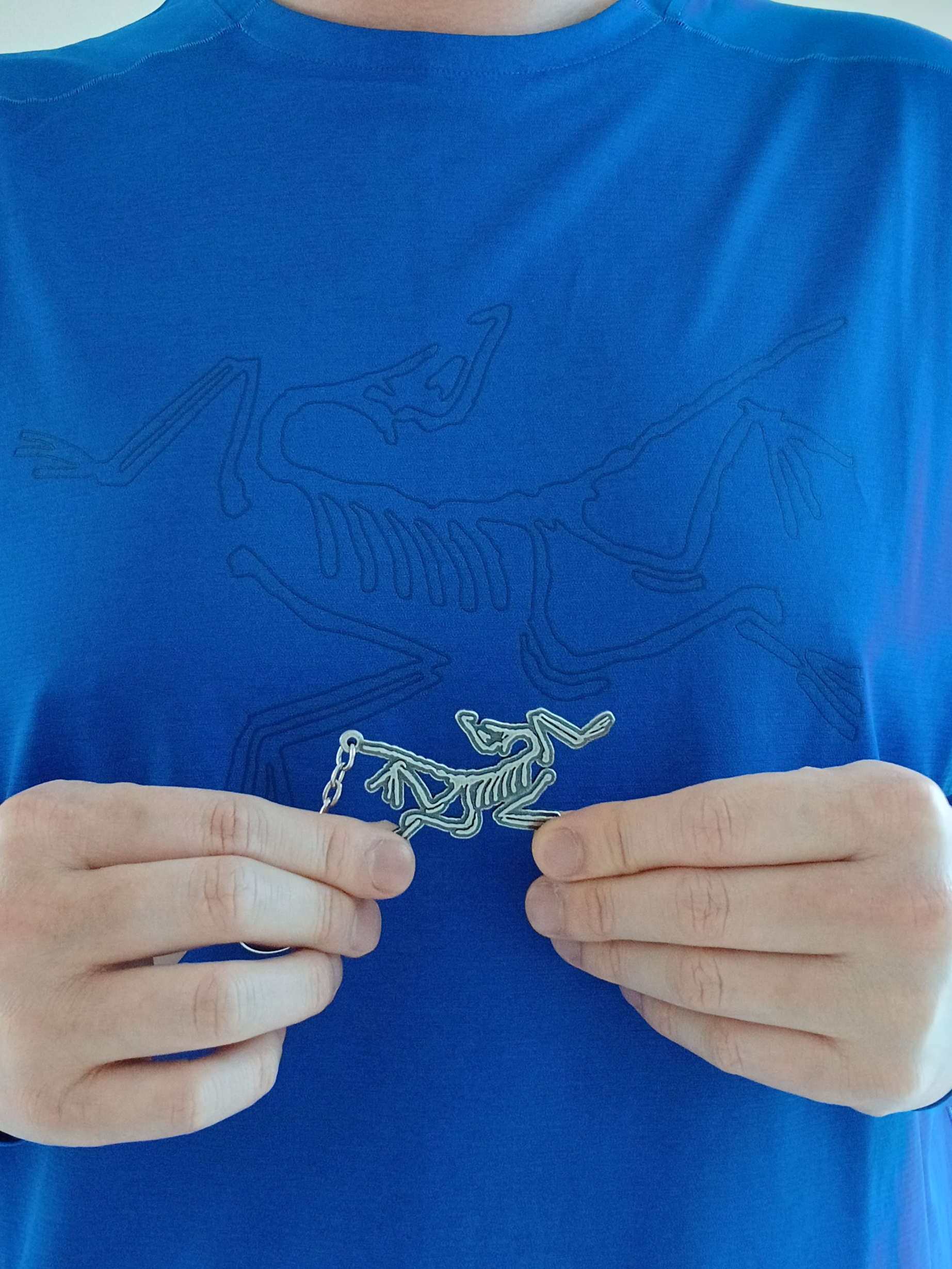Arc'teryx Keyring Metal, Arc'teryx Cormac Crew Neck LS T-Shirt Electra Heather 착용 스타일 - 5