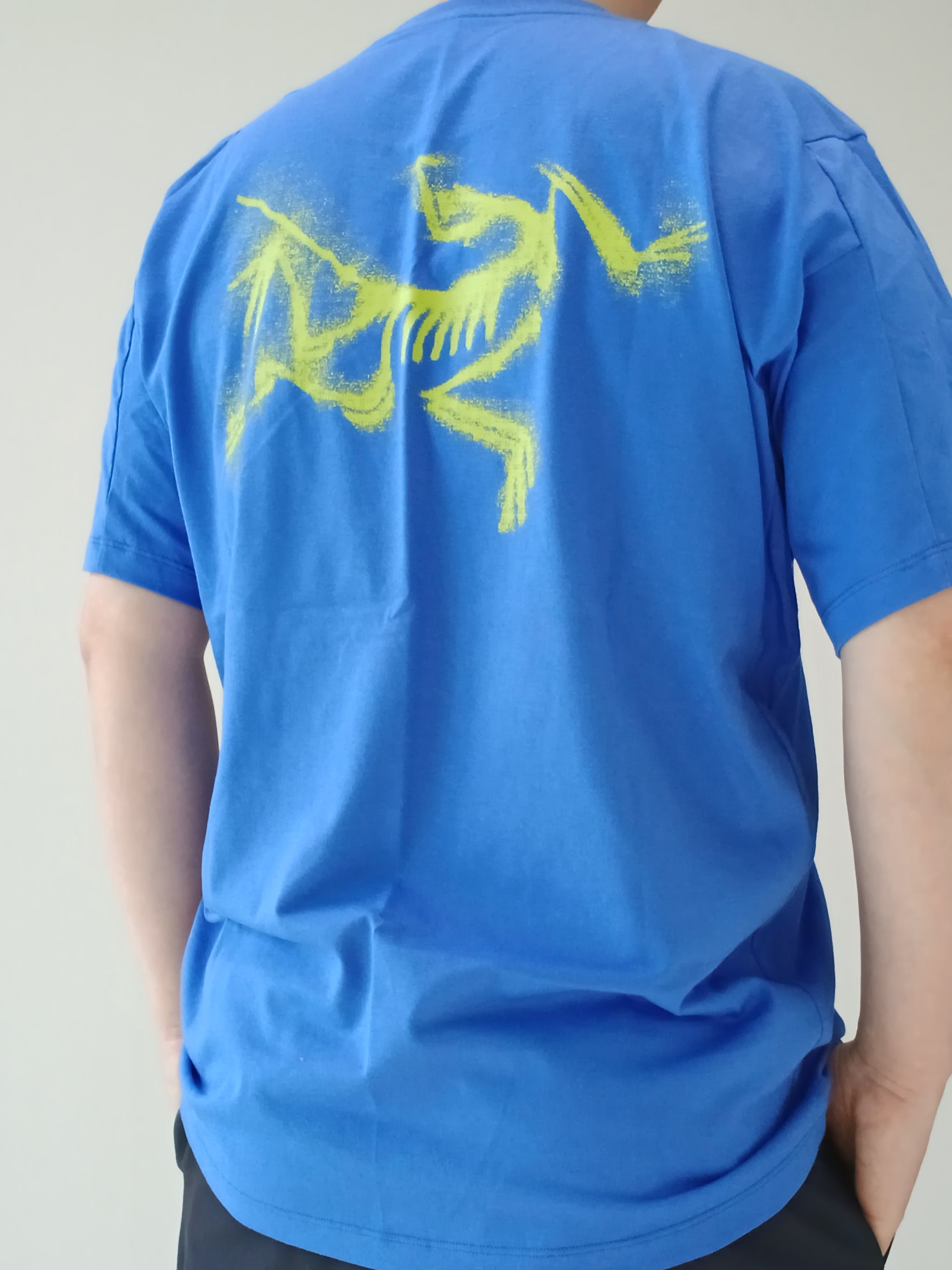 Arc'teryx Kragg SL Cotton Blurred Bird SS T-Shirt Electra Euphoria, Arc'teryx Keyring Metal 착용 스타일 - 6
