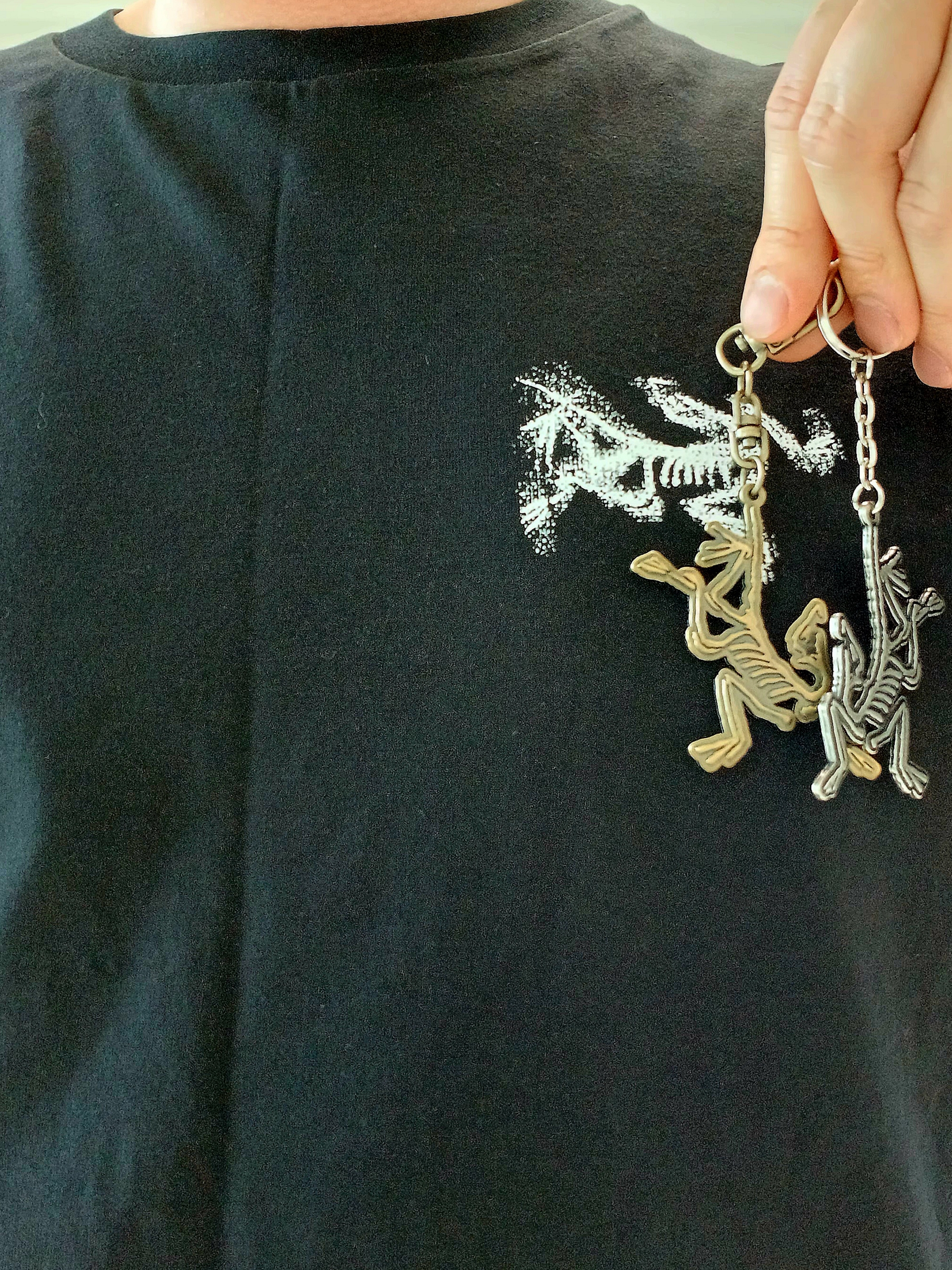 Arc'teryx Kragg SL Cotton Bird Tile LS Shirt Black Arctic Silk, Arc'teryx Keyring Metal 착용 스타일 - 2