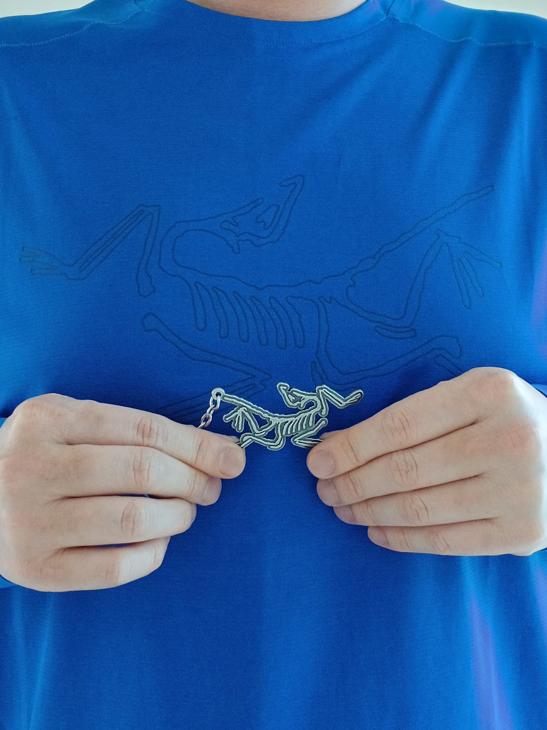 Arc'teryx Keyring Metal, Arc'teryx Cormac Crew Neck LS T-Shirt Electra Heather 착용 스타일 - 1