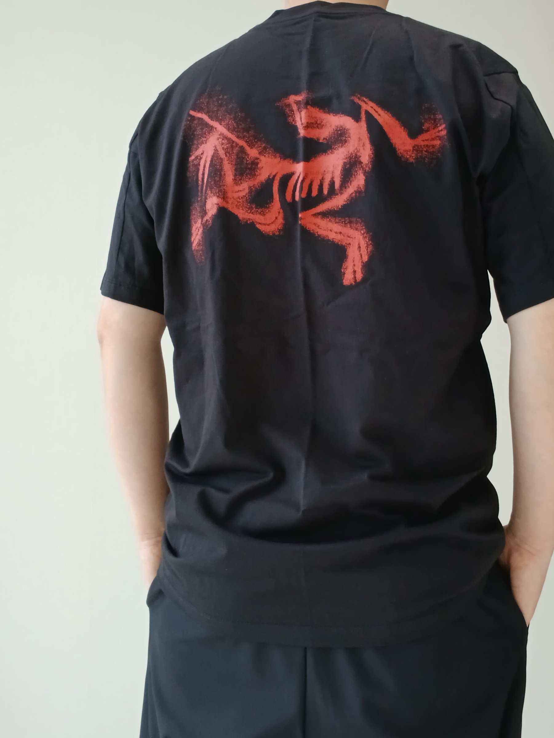 Arc'teryx Kragg SL Cotton Blurred Bird SS T-Shirt Black Dynasty, Arc'teryx Keyring Metal 착용 스타일 - 4