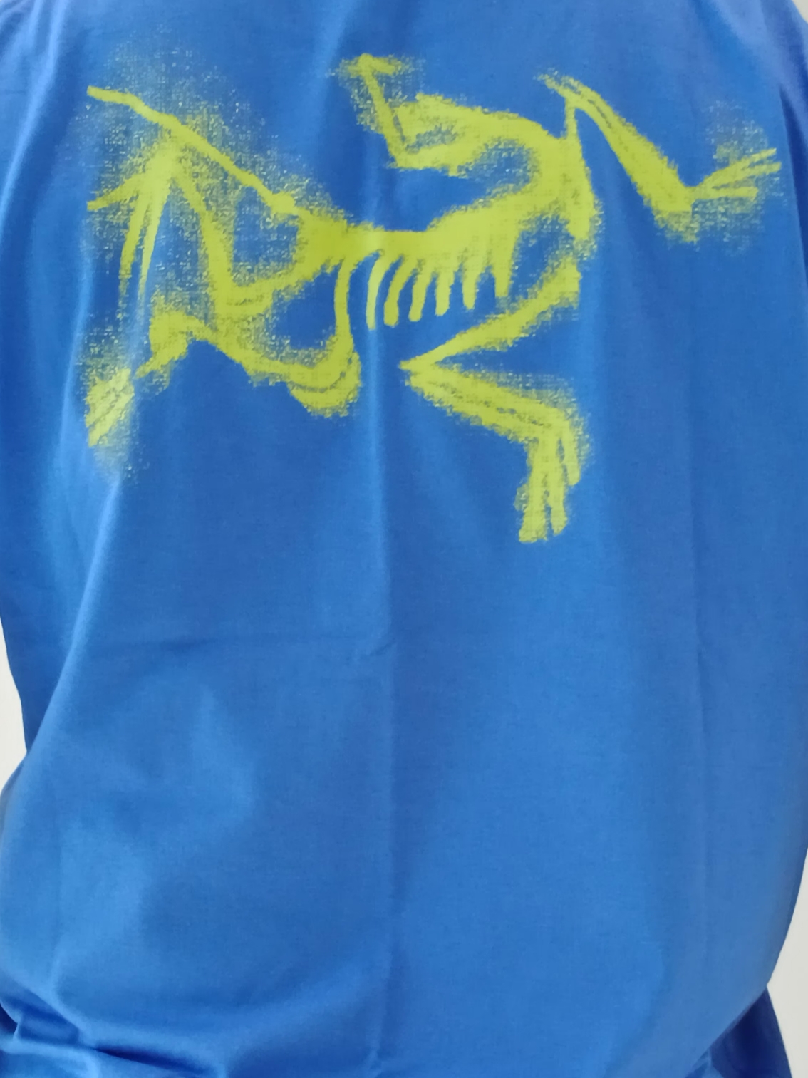 Arc'teryx Kragg SL Cotton Blurred Bird SS T-Shirt Electra Euphoria, Arc'teryx Keyring Metal 착용 스타일 - 7