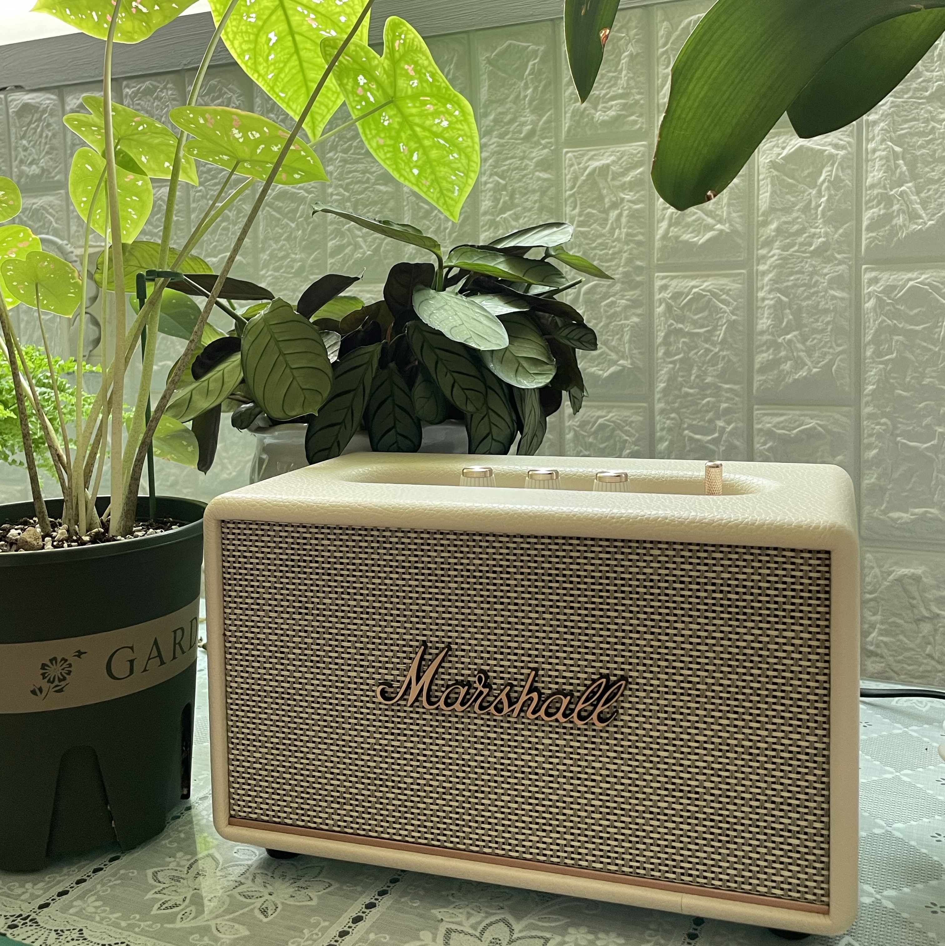 Marshall Acton III Bluetooth Cream (Korean Ver.) 착용 스타일