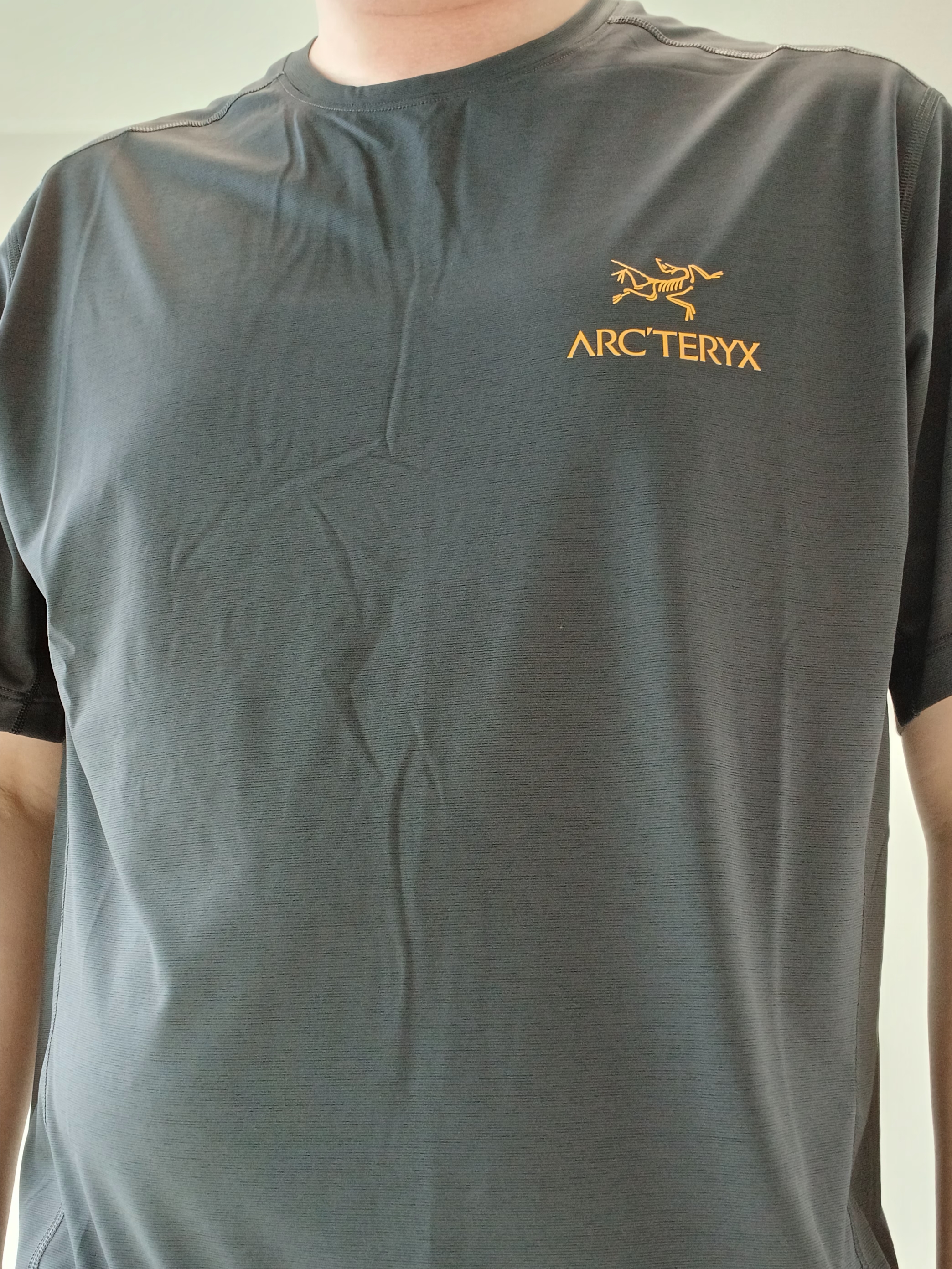 Arc'teryx Motus Arcword Crew SS T-Shirt Black Heather 착용 스타일 - 5