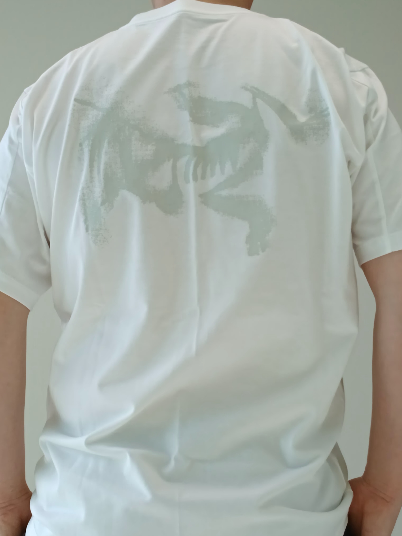 Arc'teryx Kragg SL Cotton Blurred Bird SS T-Shirt White Light Atmos, Arc'teryx Keyring Metal 착용 스타일 - 1