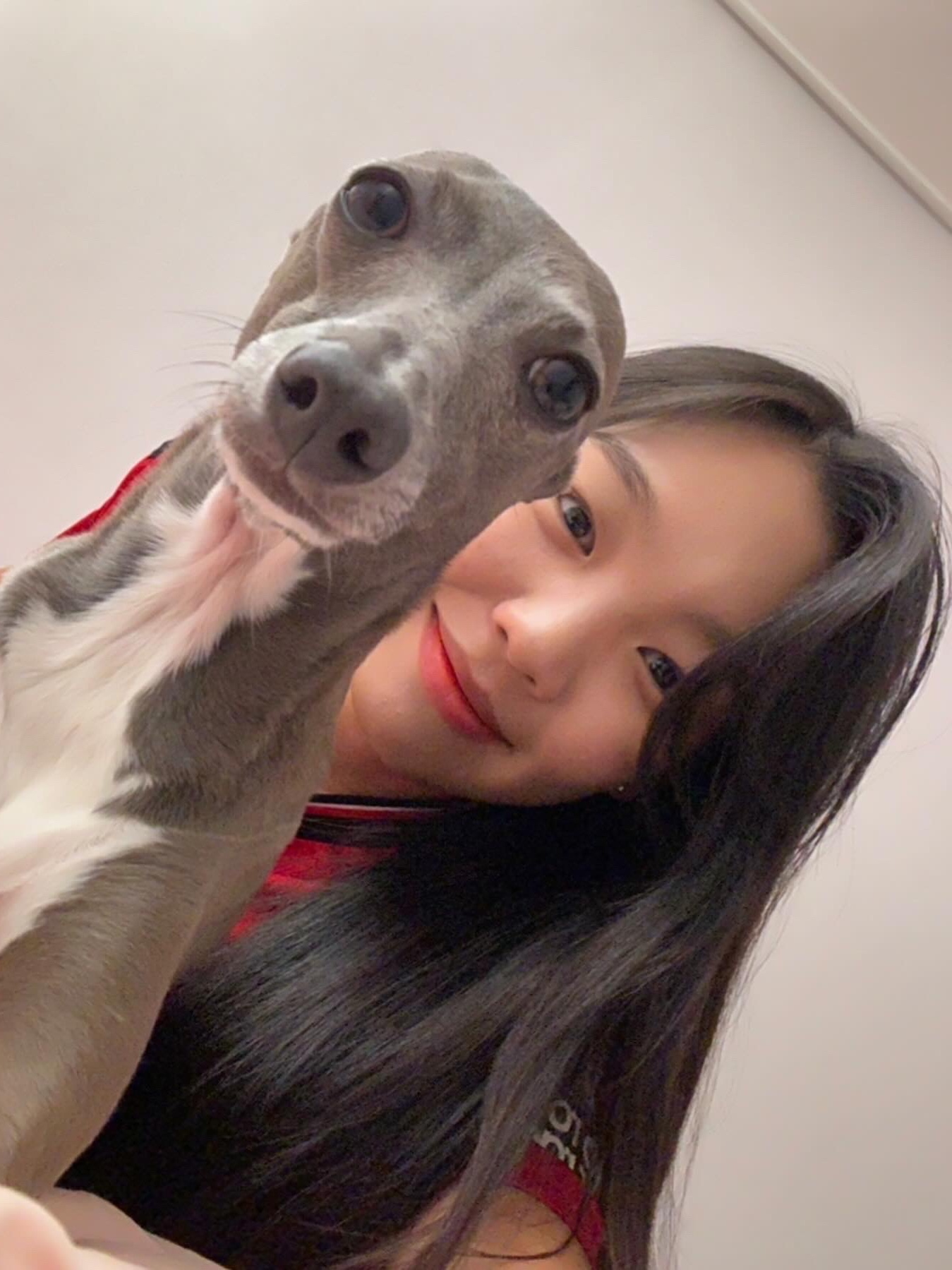 아디다스 맨체스터 유나이티드 2023/24 홈 저지 팀 컬리지에이트 레드 - KR 사이즈 (논 마킹 버전) 착용 스타일 - 2