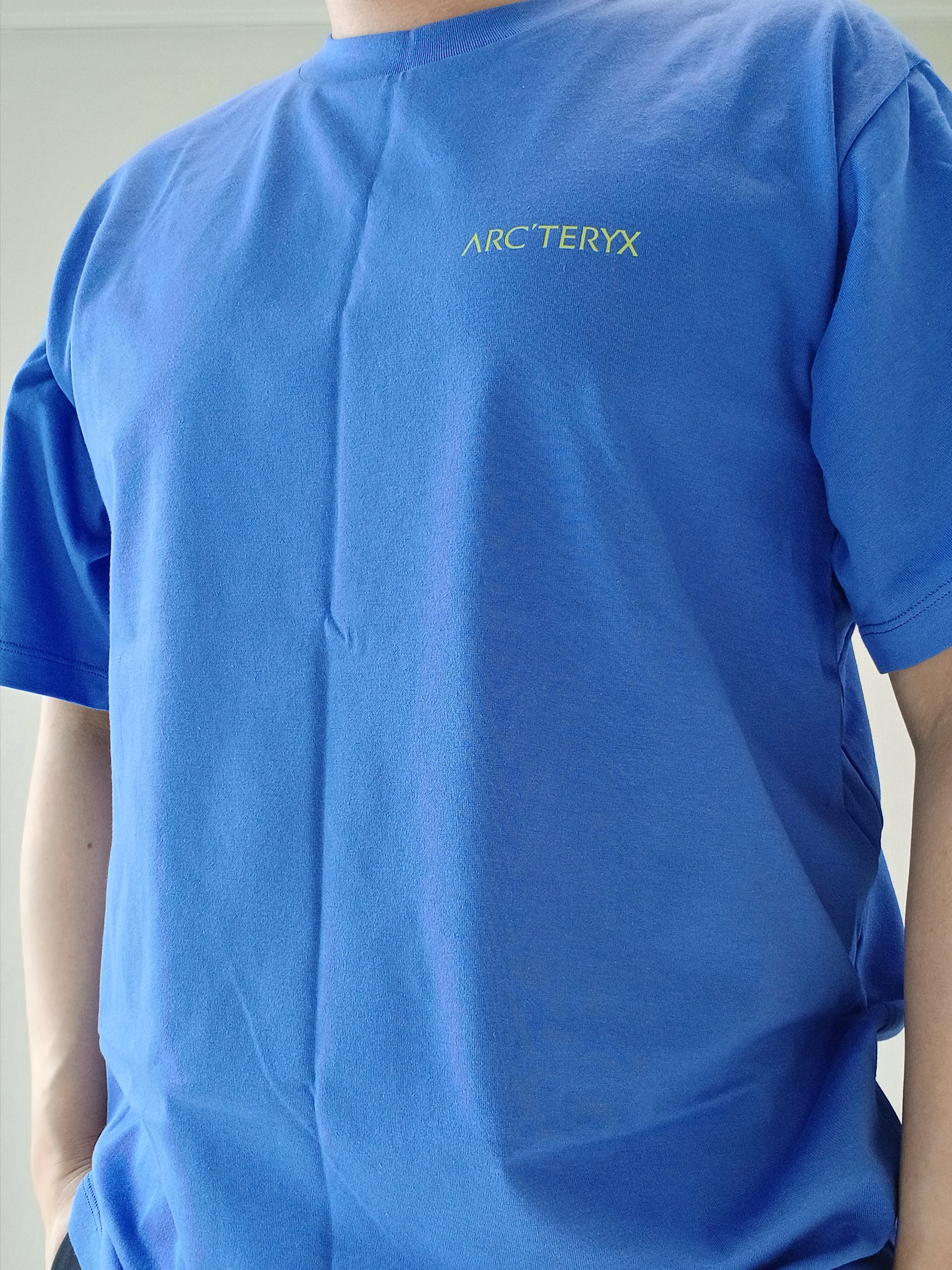 Arc'teryx Kragg SL Cotton Blurred Bird SS T-Shirt Electra Euphoria, Arc'teryx Keyring Metal 착용 스타일 - 5