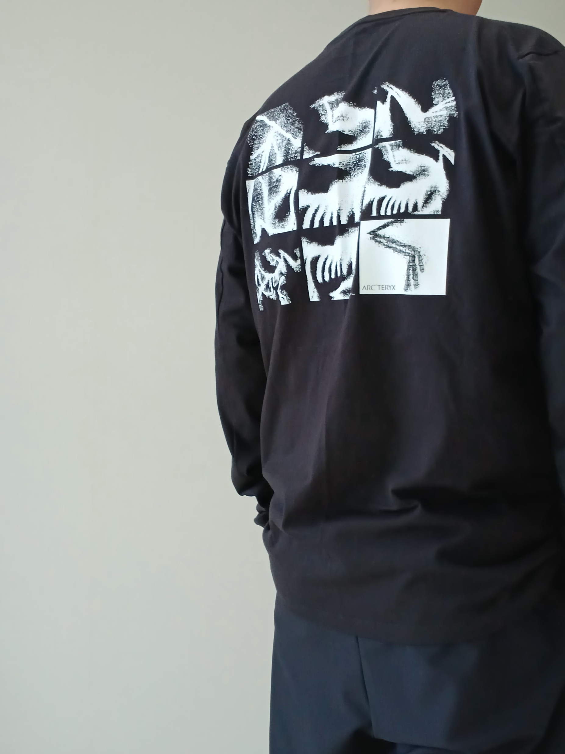 Arc'teryx Kragg SL Cotton Bird Tile LS Shirt Black Arctic Silk, Arc'teryx Keyring Metal 착용 스타일 - 7