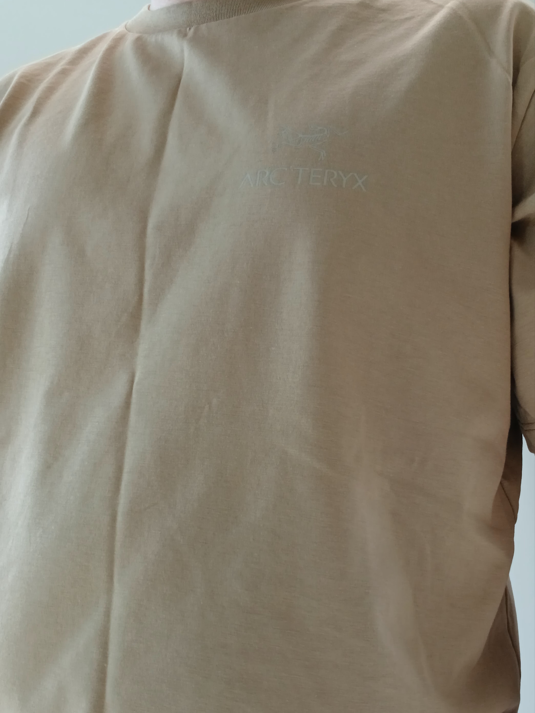 Arc'teryx Kragg SL Cotton Bird Word SS T-Shirt Canvas 착용 스타일 - 3