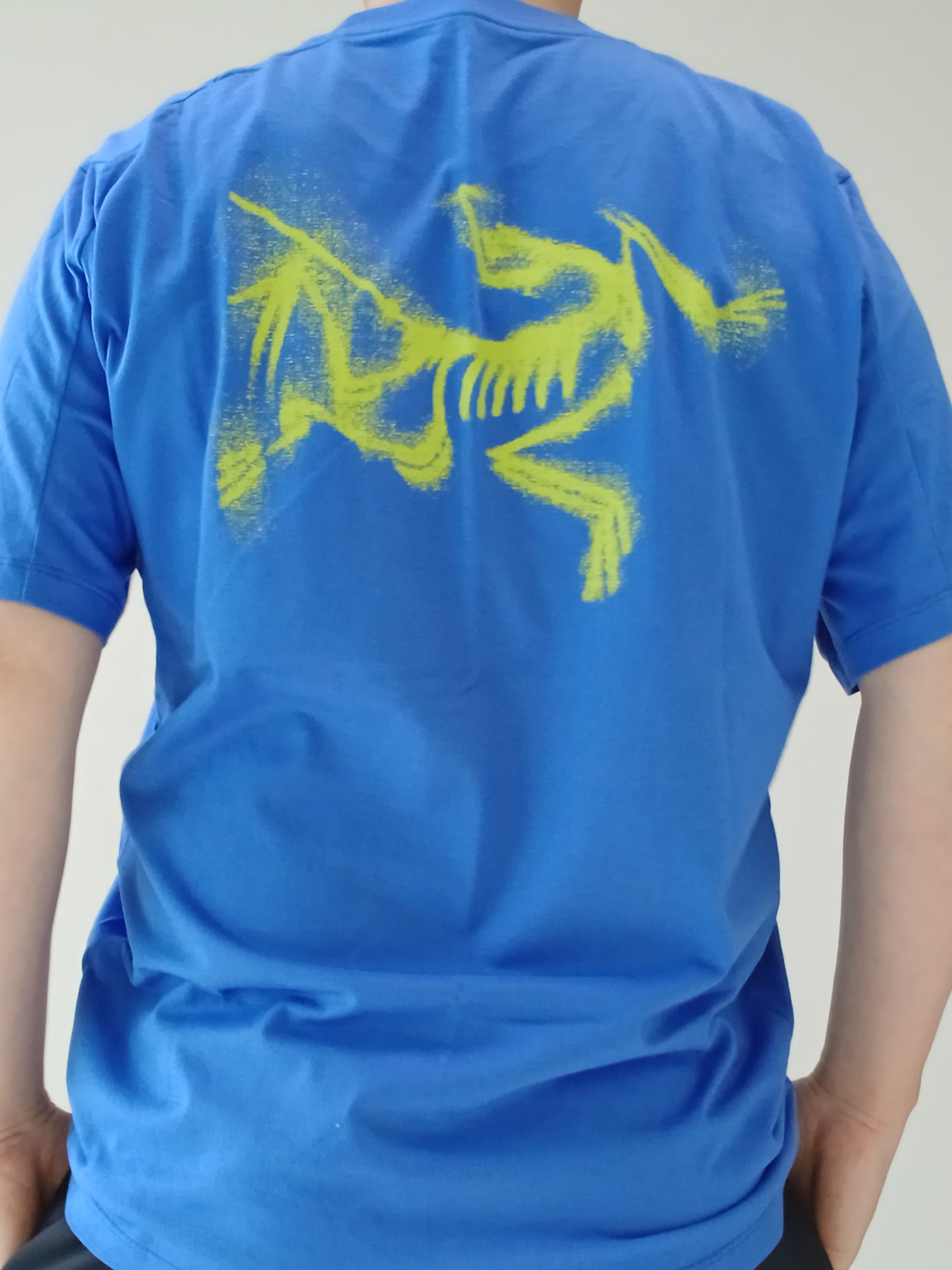 Arc'teryx Kragg SL Cotton Blurred Bird SS T-Shirt Electra Euphoria, Arc'teryx Keyring Metal 착용 스타일 - 1