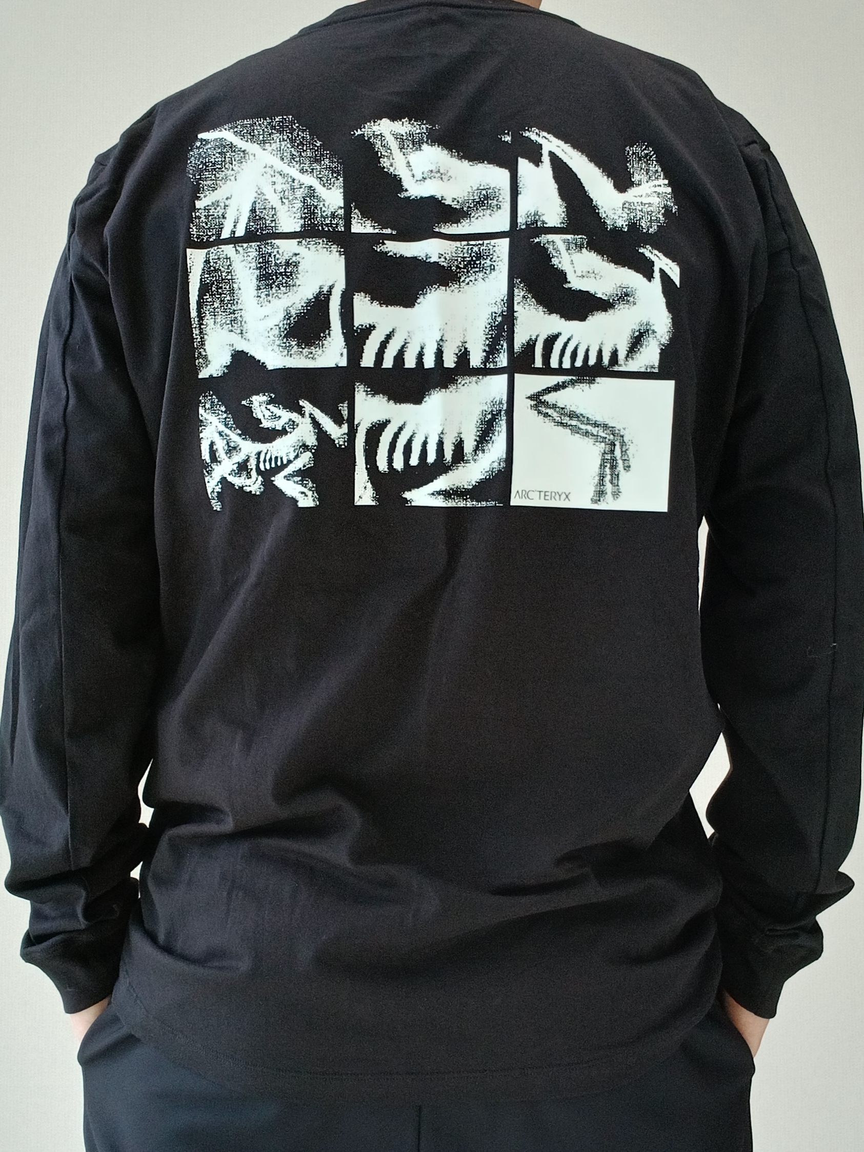 Arc'teryx Kragg SL Cotton Bird Tile LS Shirt Black Arctic Silk, Arc'teryx Keyring Metal 착용 스타일 - 1