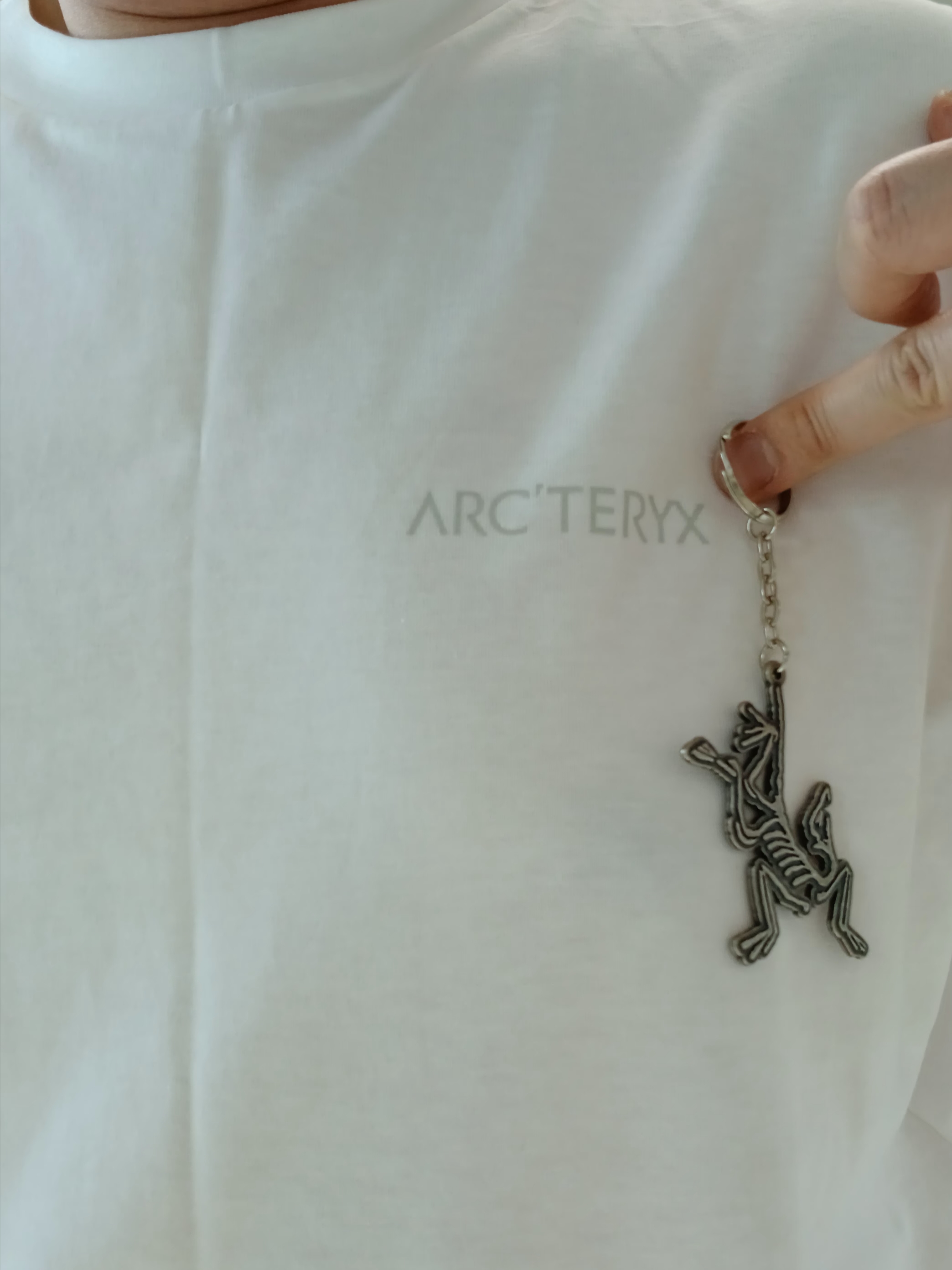 Arc'teryx Kragg SL Cotton Blurred Bird SS T-Shirt White Light Atmos, Arc'teryx Keyring Metal 착용 스타일 - 2