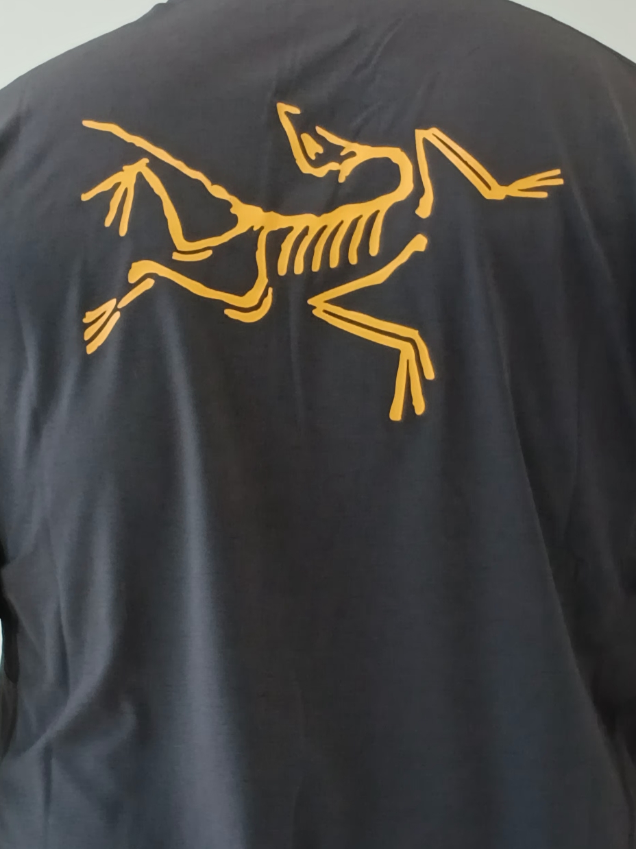 Arc'teryx Motus Arcword Crew SS T-Shirt Black Heather 착용 스타일 - 6