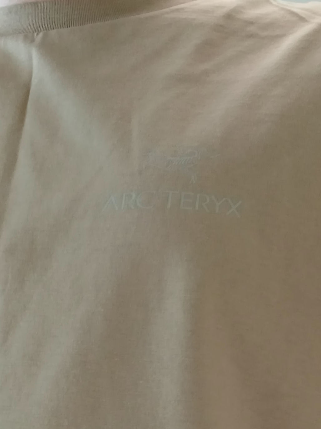 Arc'teryx Kragg SL Cotton Bird Word SS T-Shirt Canvas 착용 스타일 - 4