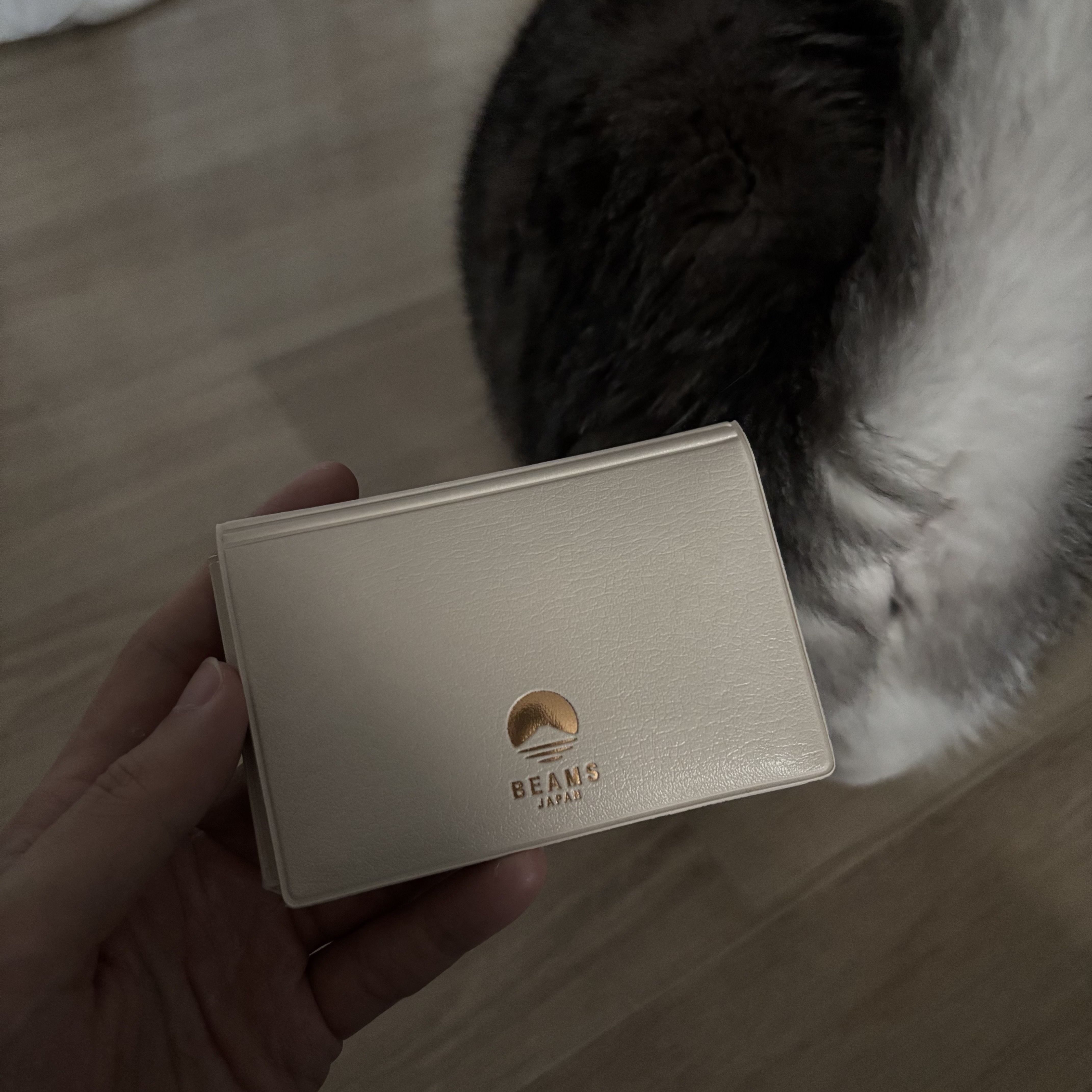 Beams x Hightide Special Order Pass & Card Case White 착용 스타일