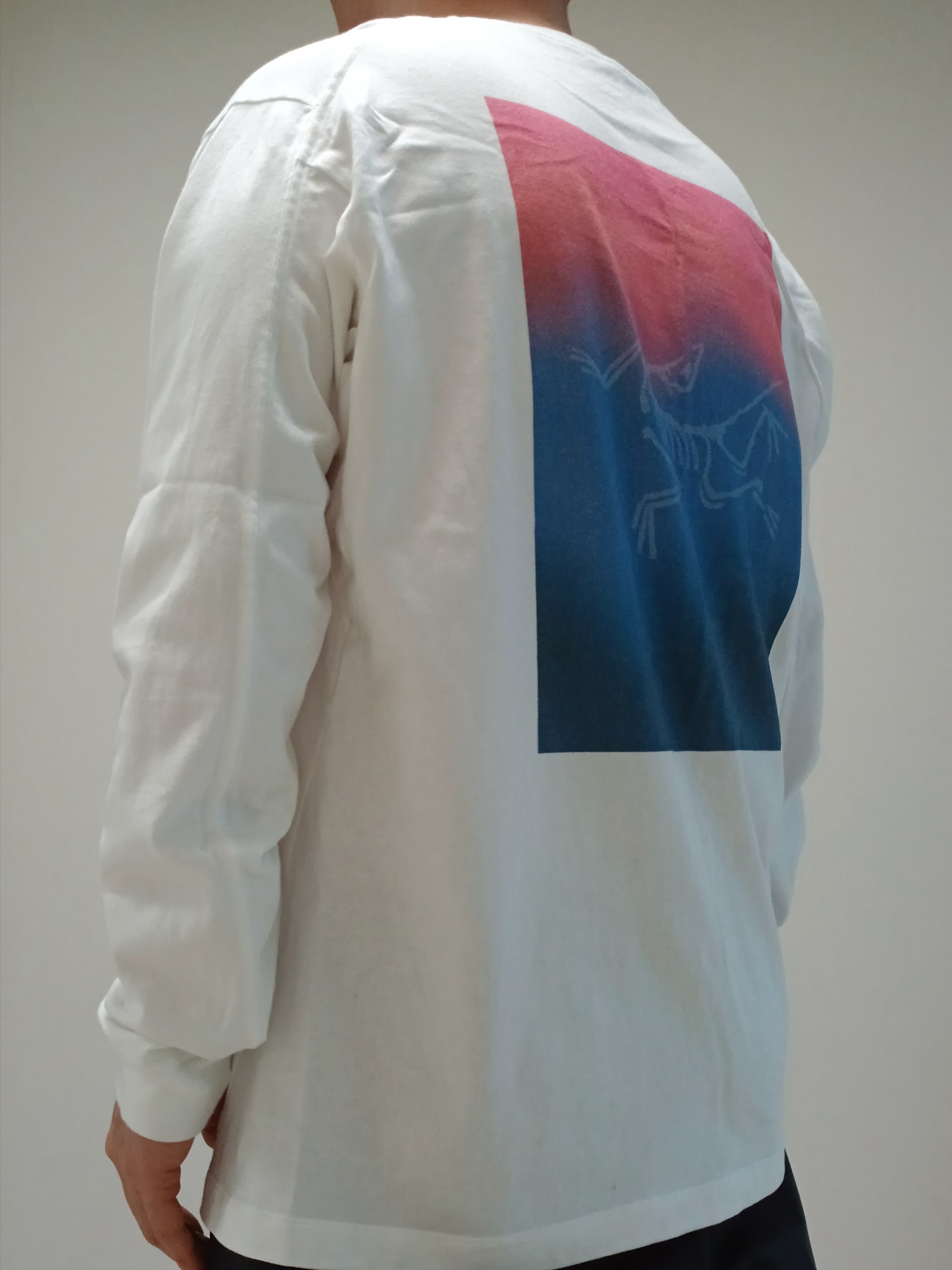 Arc'teryx Kragg Cotton Heatmap LS T-Shirt White Light Multi, Arc'teryx Keyring Metal 착용 스타일 - 5