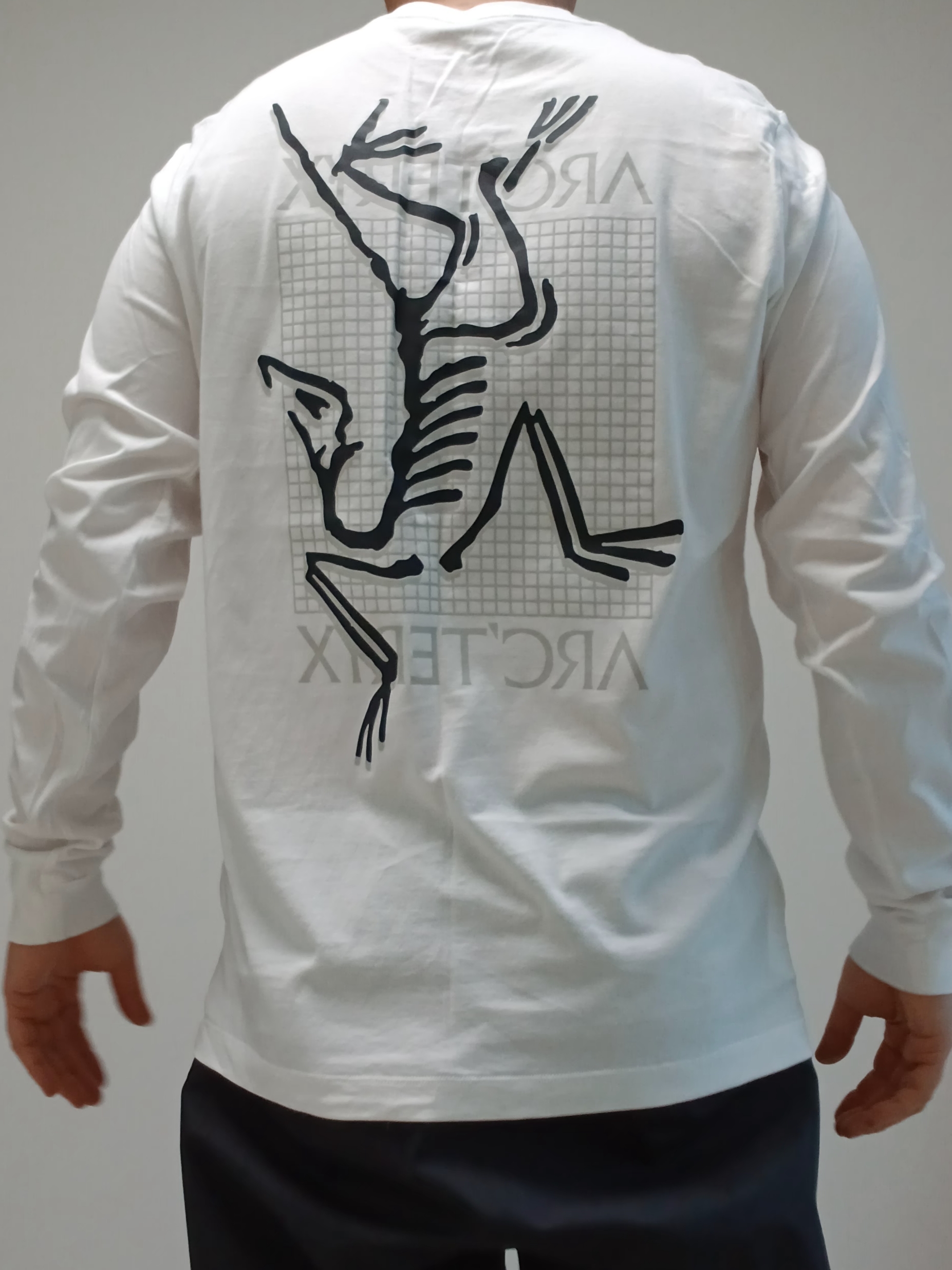 Arc'teryx Arc'Multi Bird Logo LS T-Shirt White Light, Arc'teryx Keyring Metal 착용 스타일 - 1
